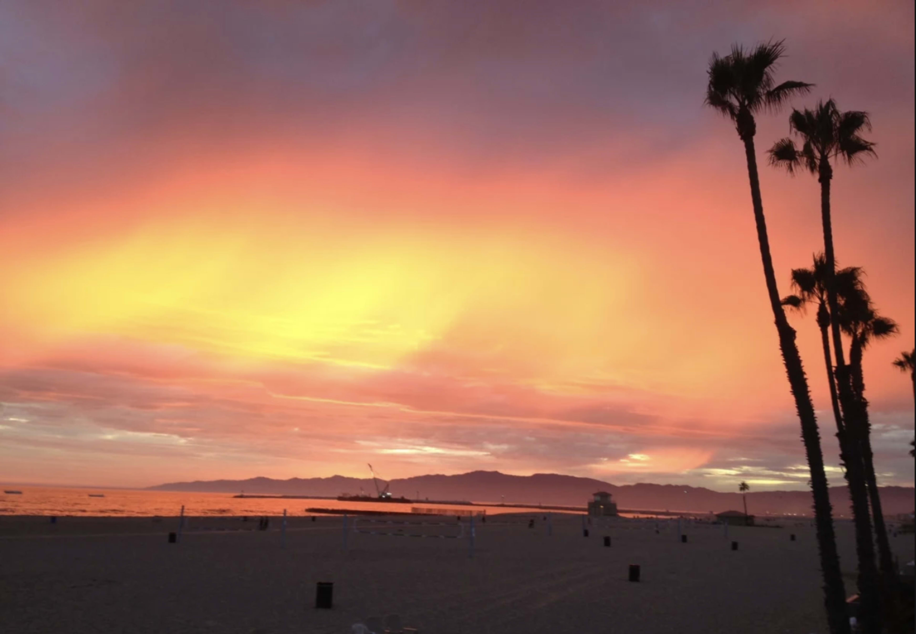 A beach scene features palm trees silhouetted against a vibrant orange and pink sunset sky, with the ocean and distant mountains in the background.