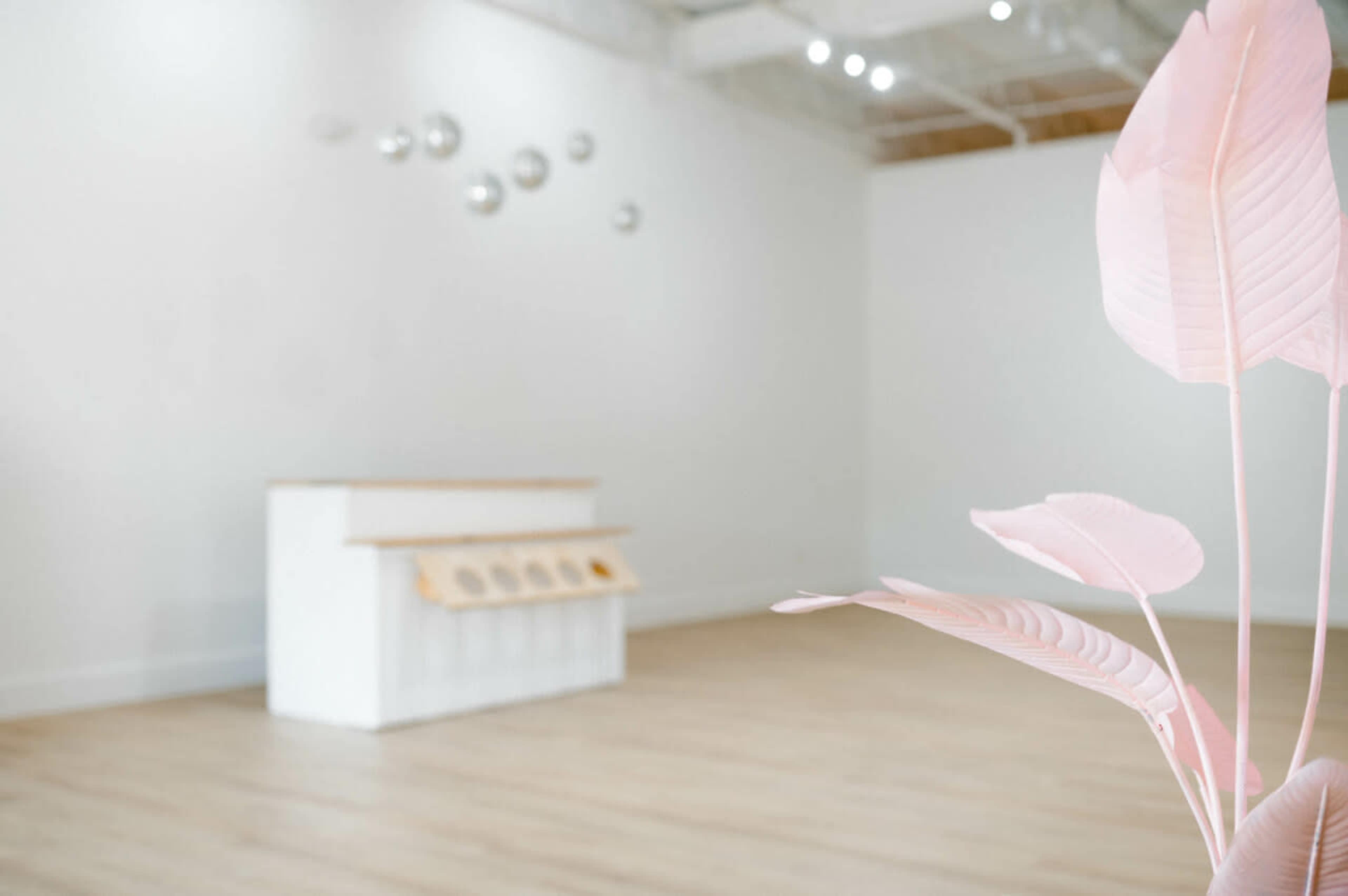 A minimalist interior features a white reception counter with slots and a pink plant in the foreground.