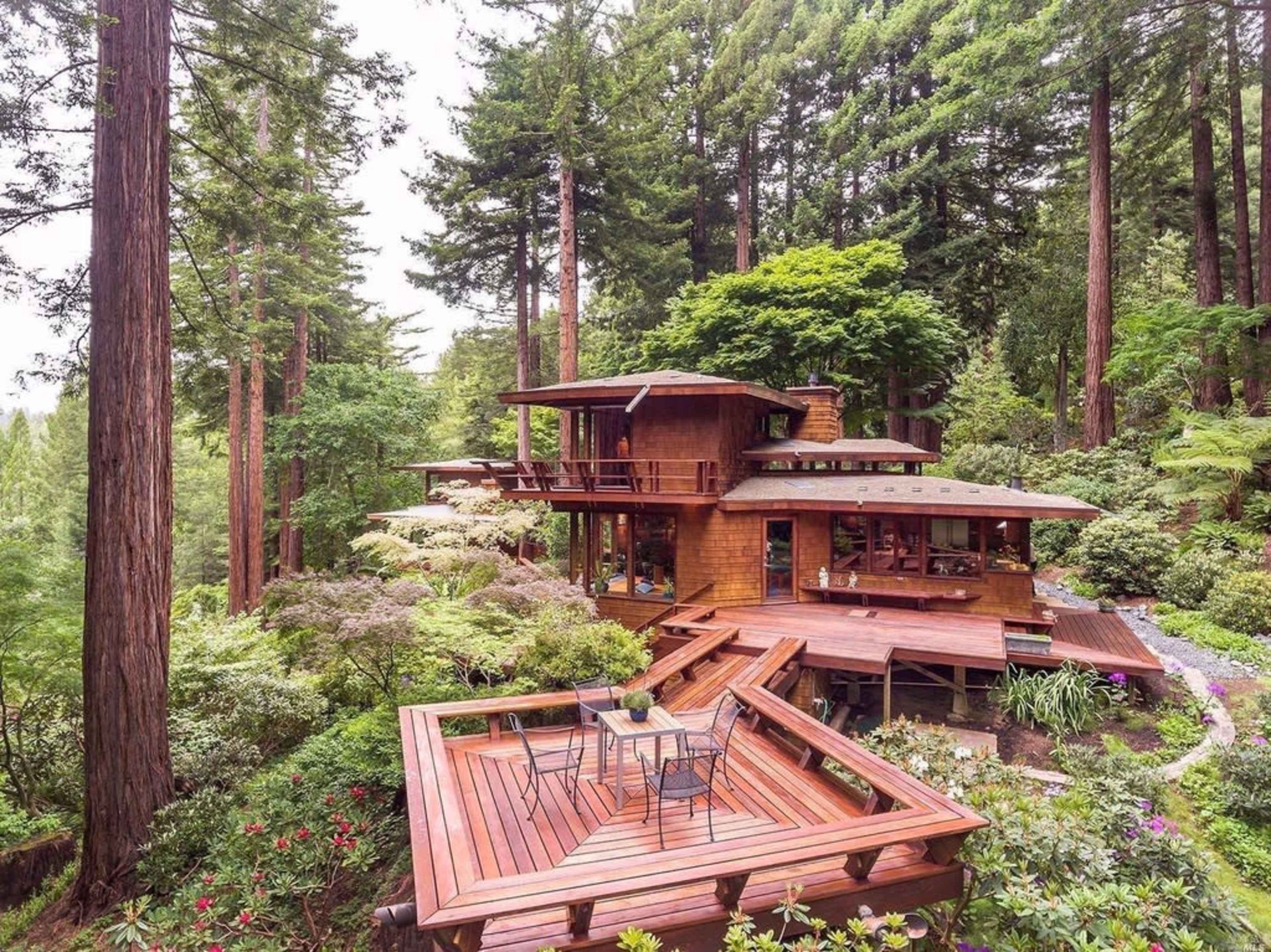 A multi-level wooden house is nestled among tall redwood trees and surrounded by lush greenery and various plants.