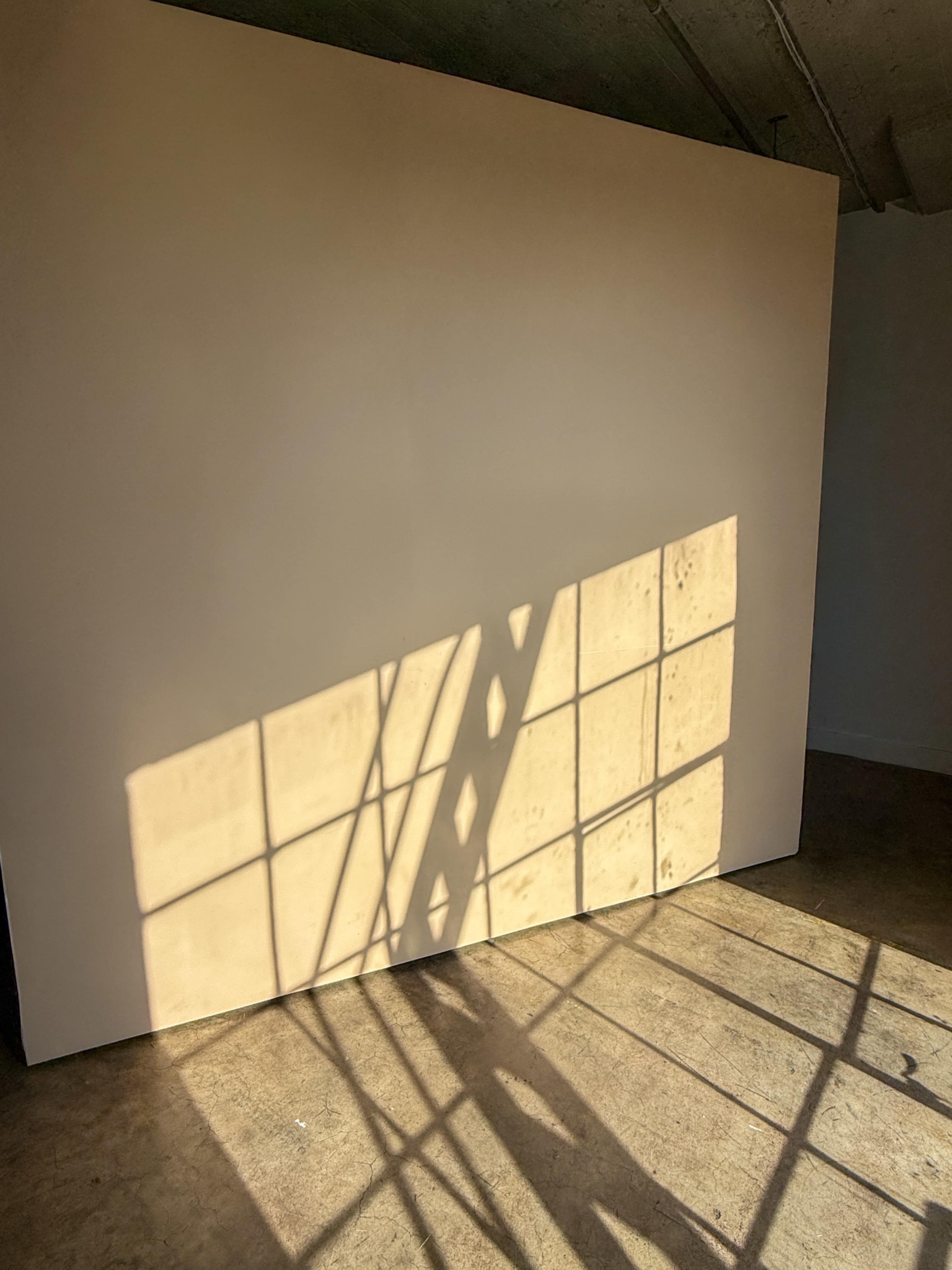 A large, blank wall with a grid of shadows cast on it from a nearby window.