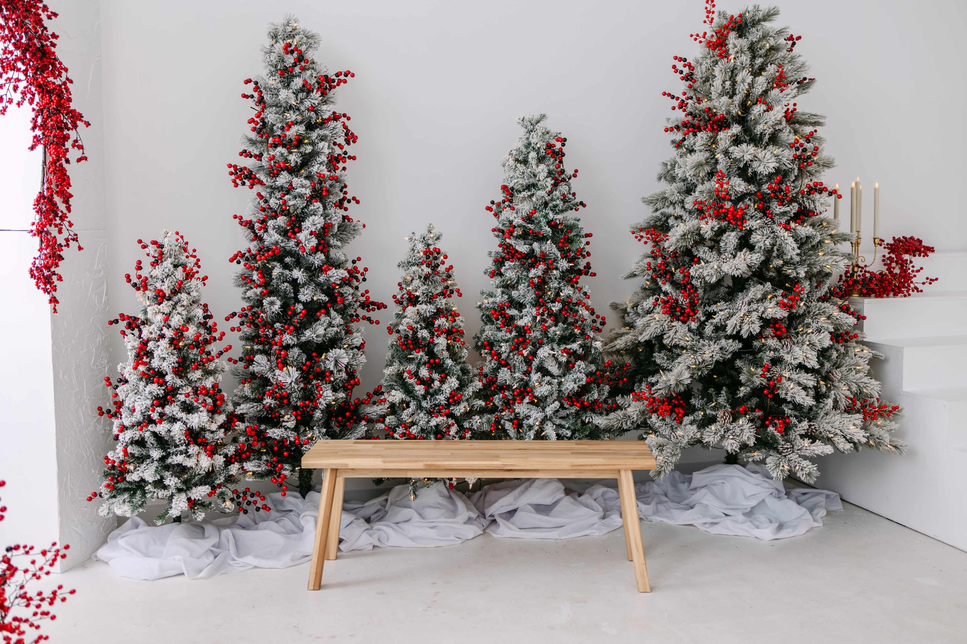 The image features several artificial Christmas trees adorned with red berries, positioned against a white backdrop, alongside a wooden bench.