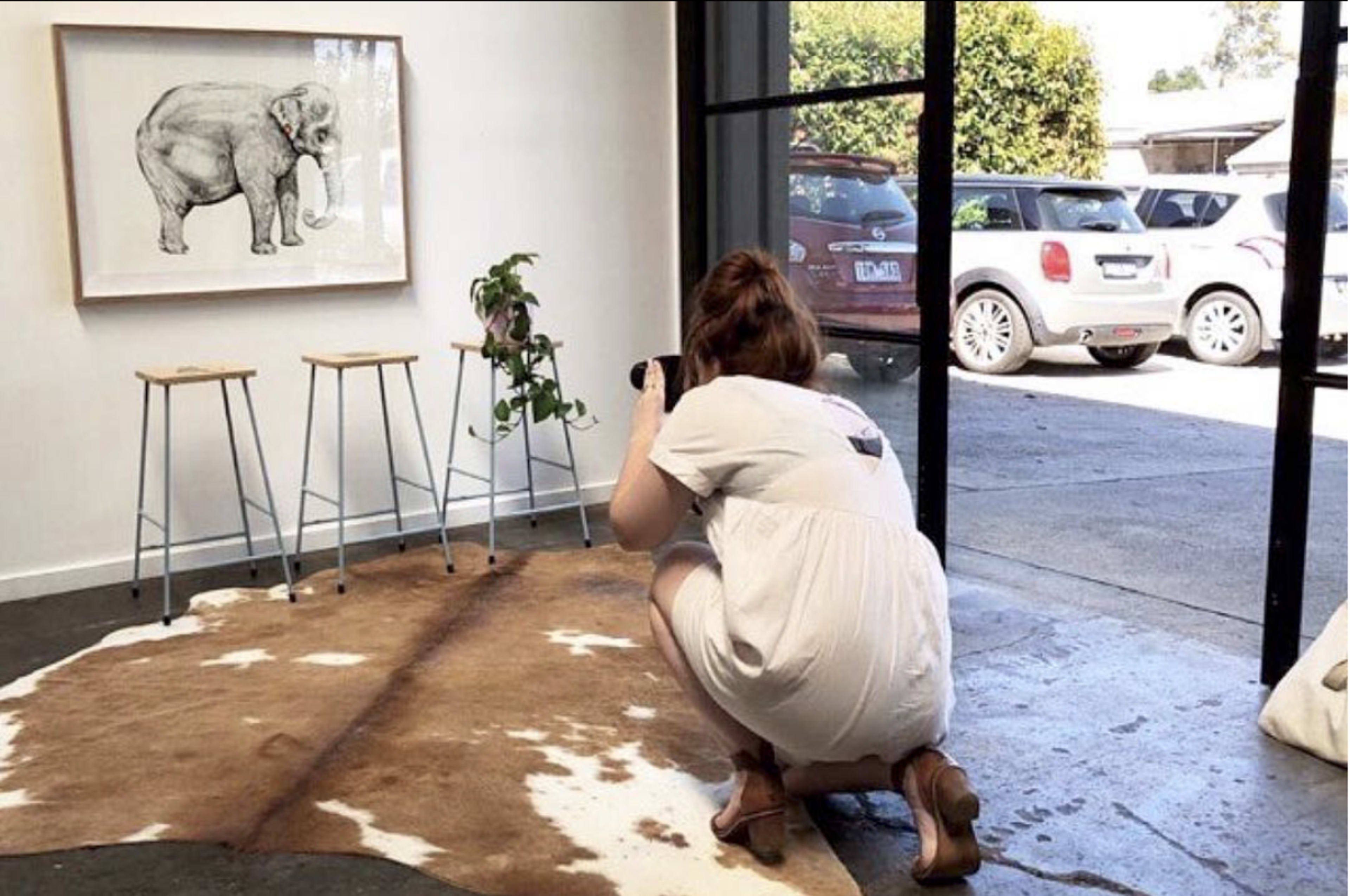 A person is crouching on a cowhide rug while taking a photo of a framed illustration of an elephant in a well-lit room.