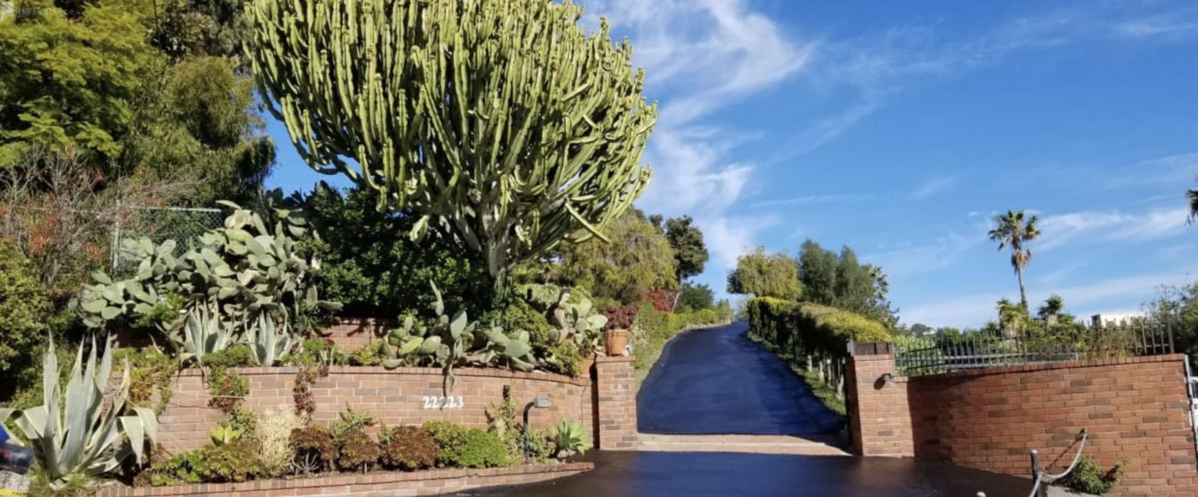 A large cactus towers over a brick wall entrance, leading to a paved driveway surrounded by lush greenery under a clear blue sky.