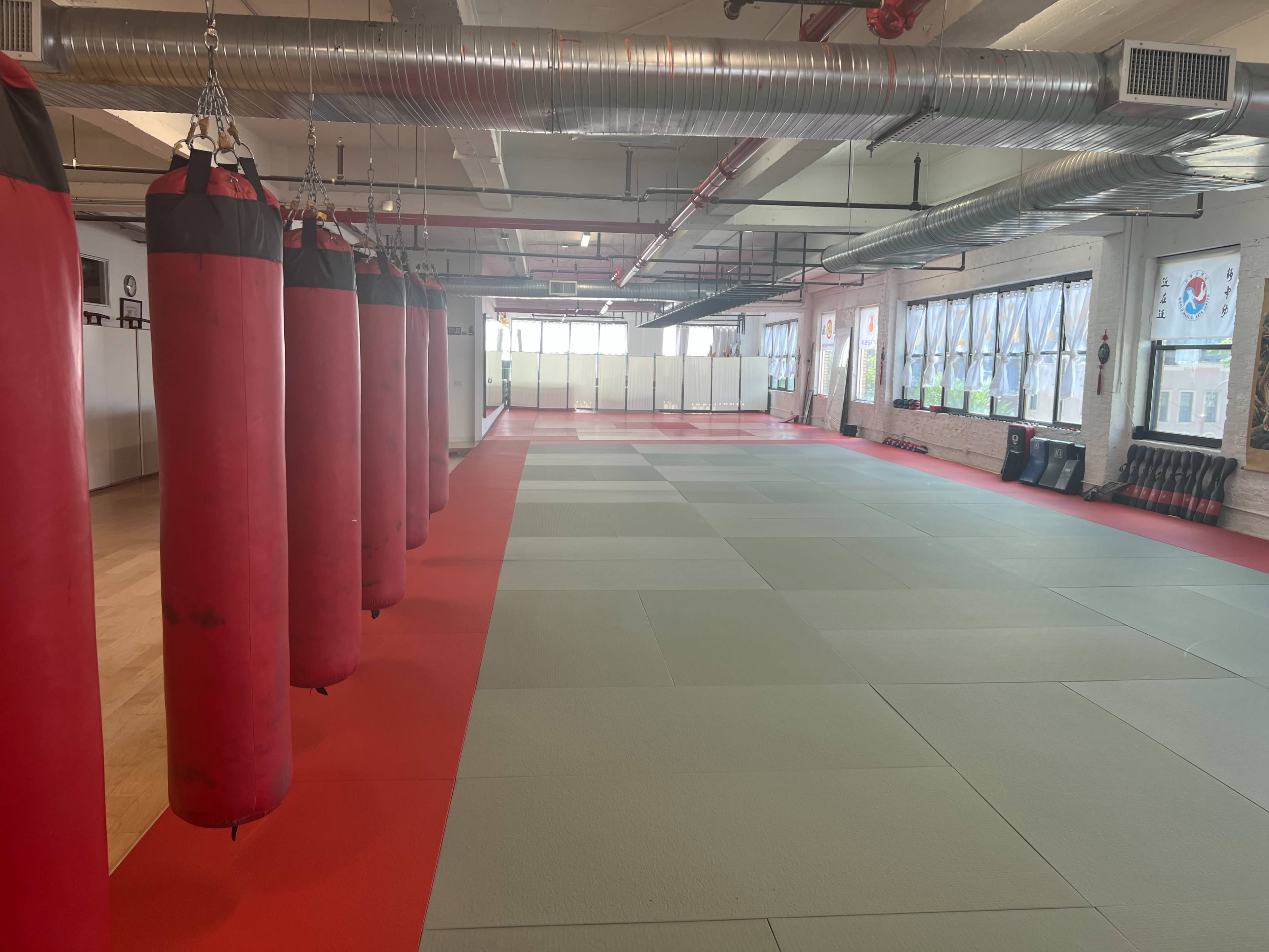 An empty martial arts training room with red punching bags hanging from the ceiling and green mats on the floor.
