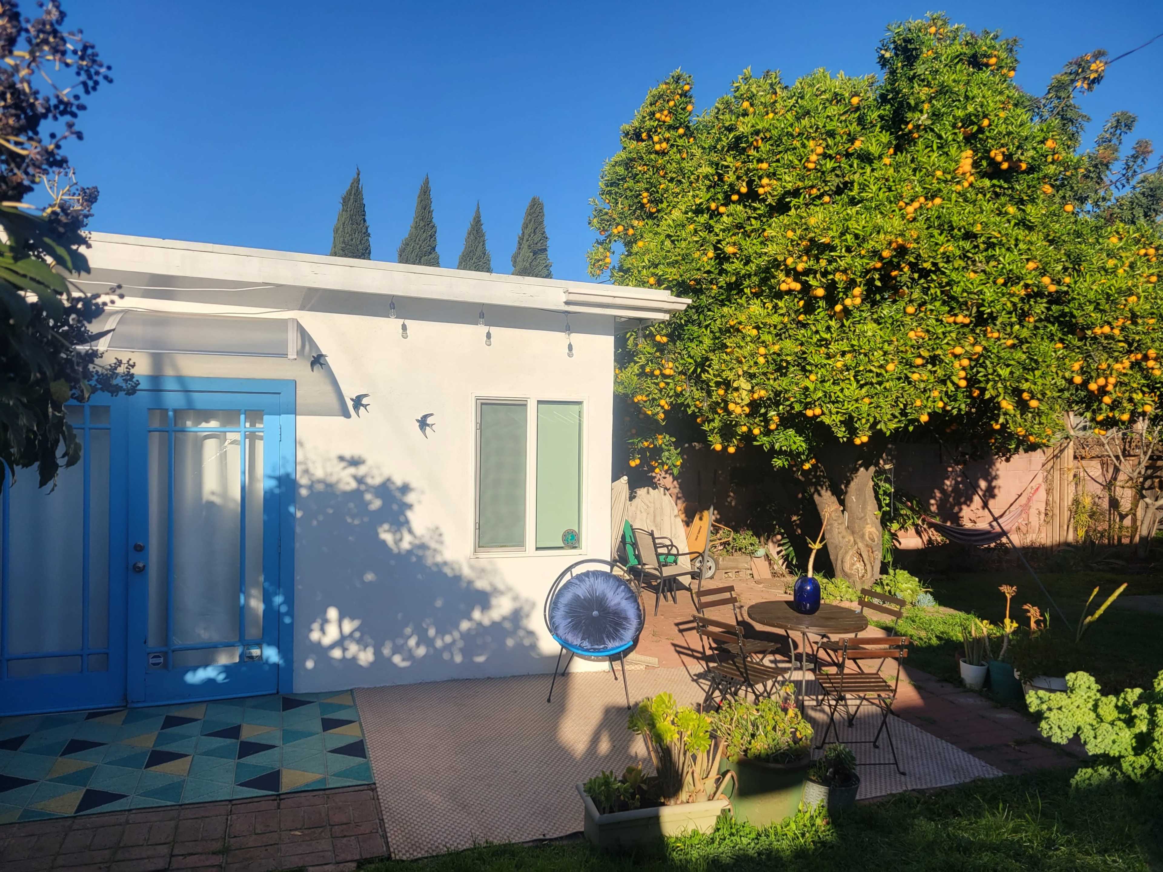A small white building with blue accents is set in a garden featuring an orange tree, along with outdoor seating and plants.