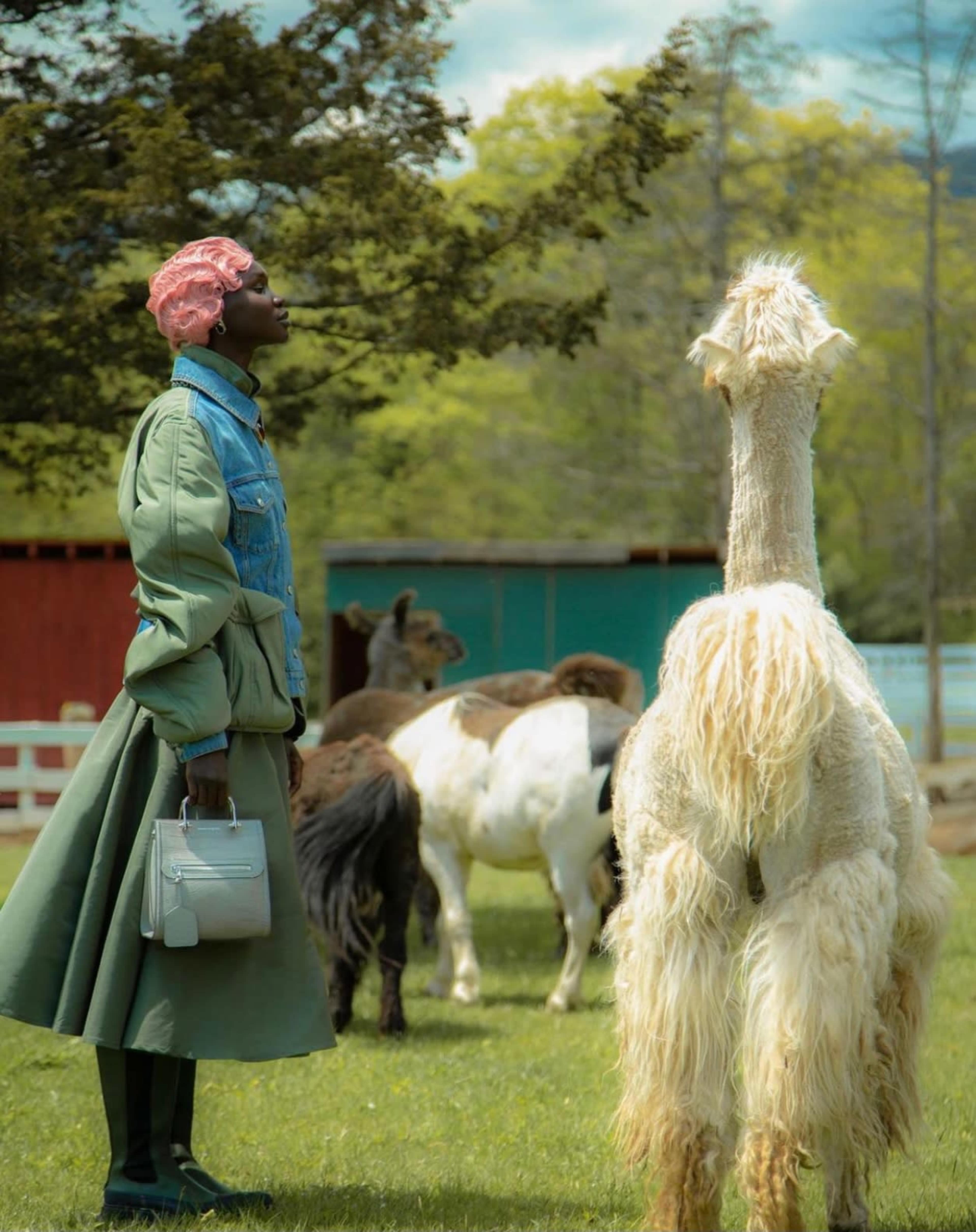 A person in a green coat and skirt stands in a field, looking at an alpaca while several other animals graze nearby.