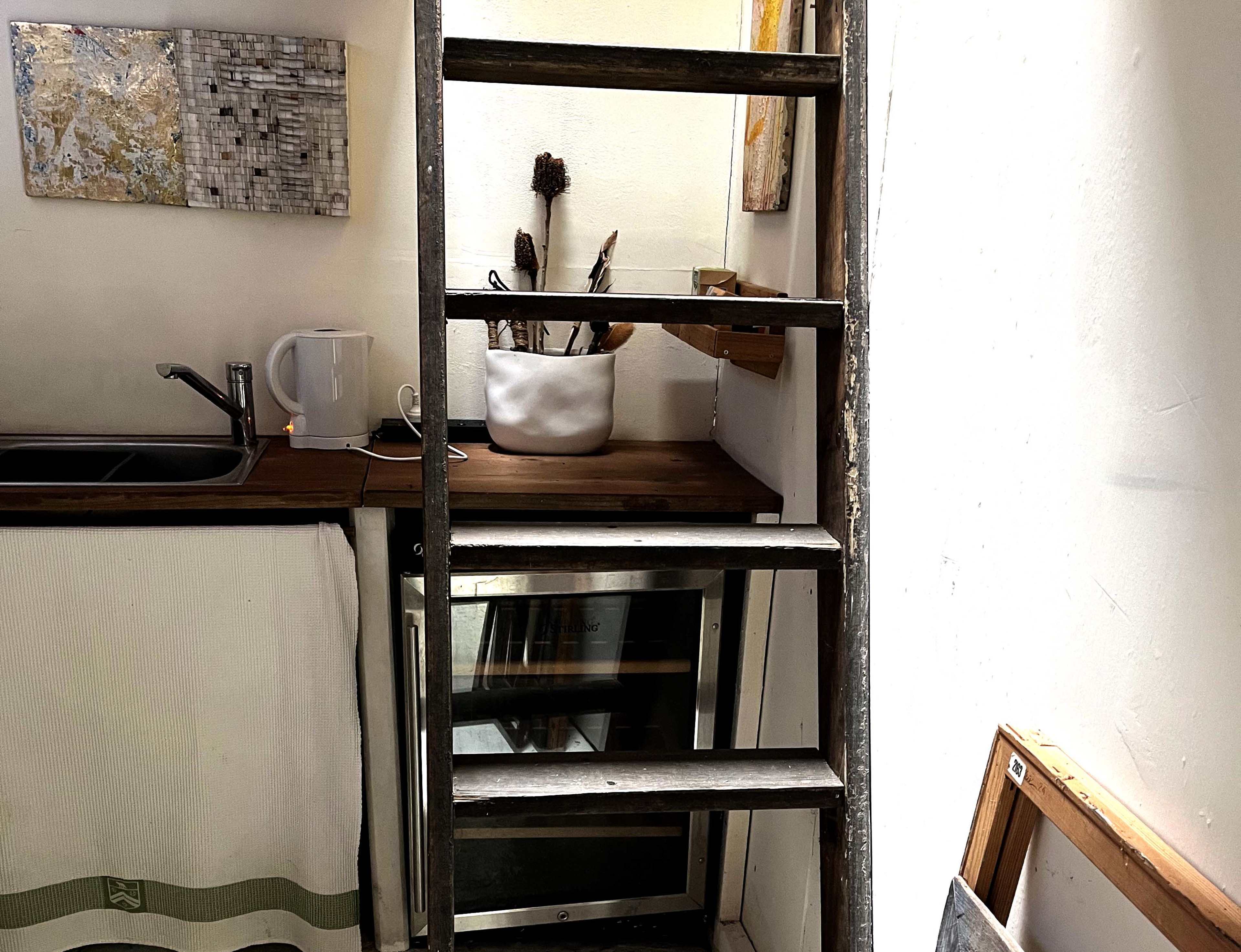 The image shows a steel ladder leaning against a wall in a small kitchen area with a sink and a window sill adorned with decorative items.