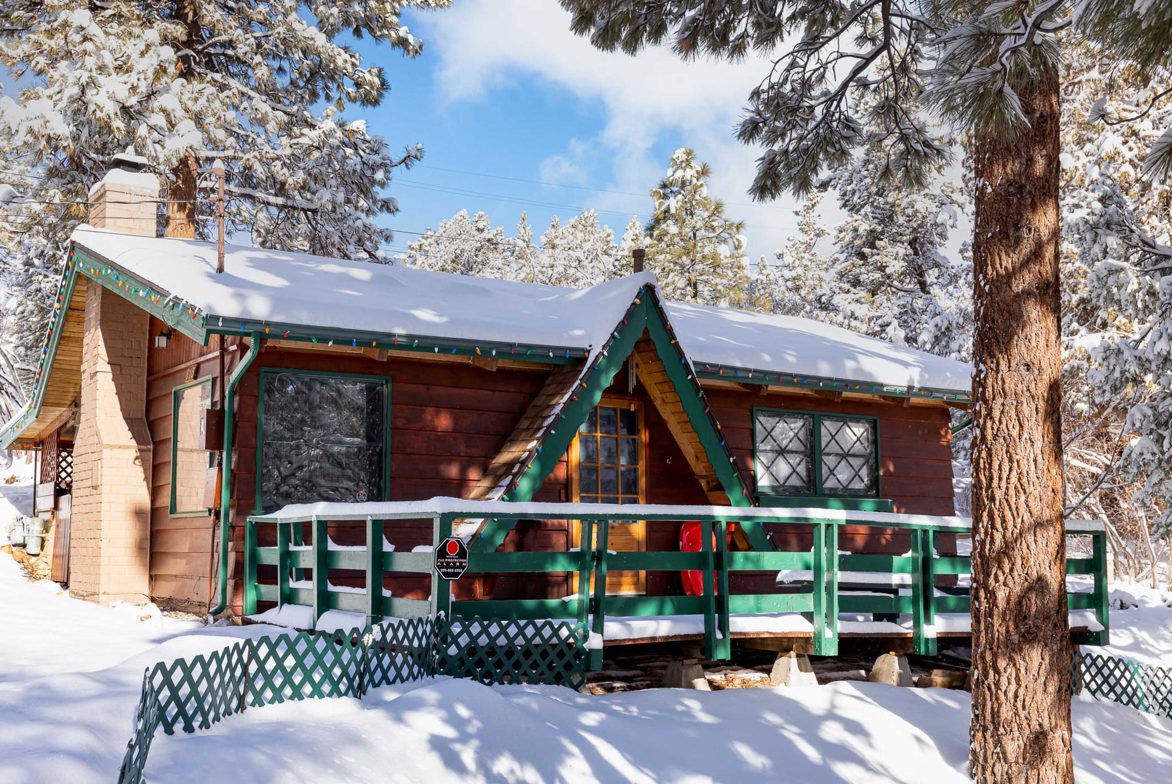A wooden cabin with green trim and a snow-covered porch is surrounded by tall pine trees in a winter landscape.