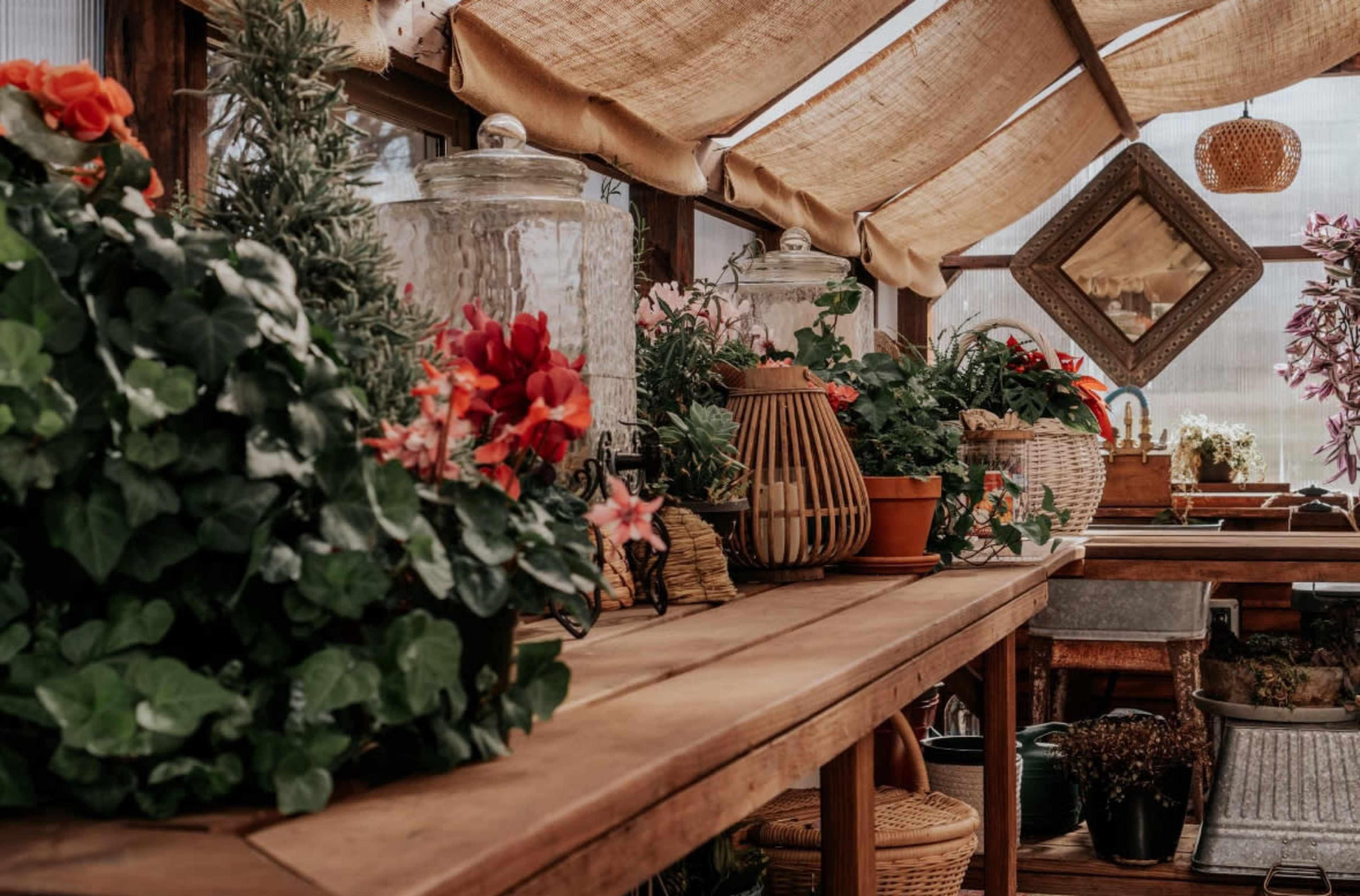 Picturesque Yoderbilt Greenhouse on 12 Wooded Acres Image in Mt Pleasant Township, Belton, MO