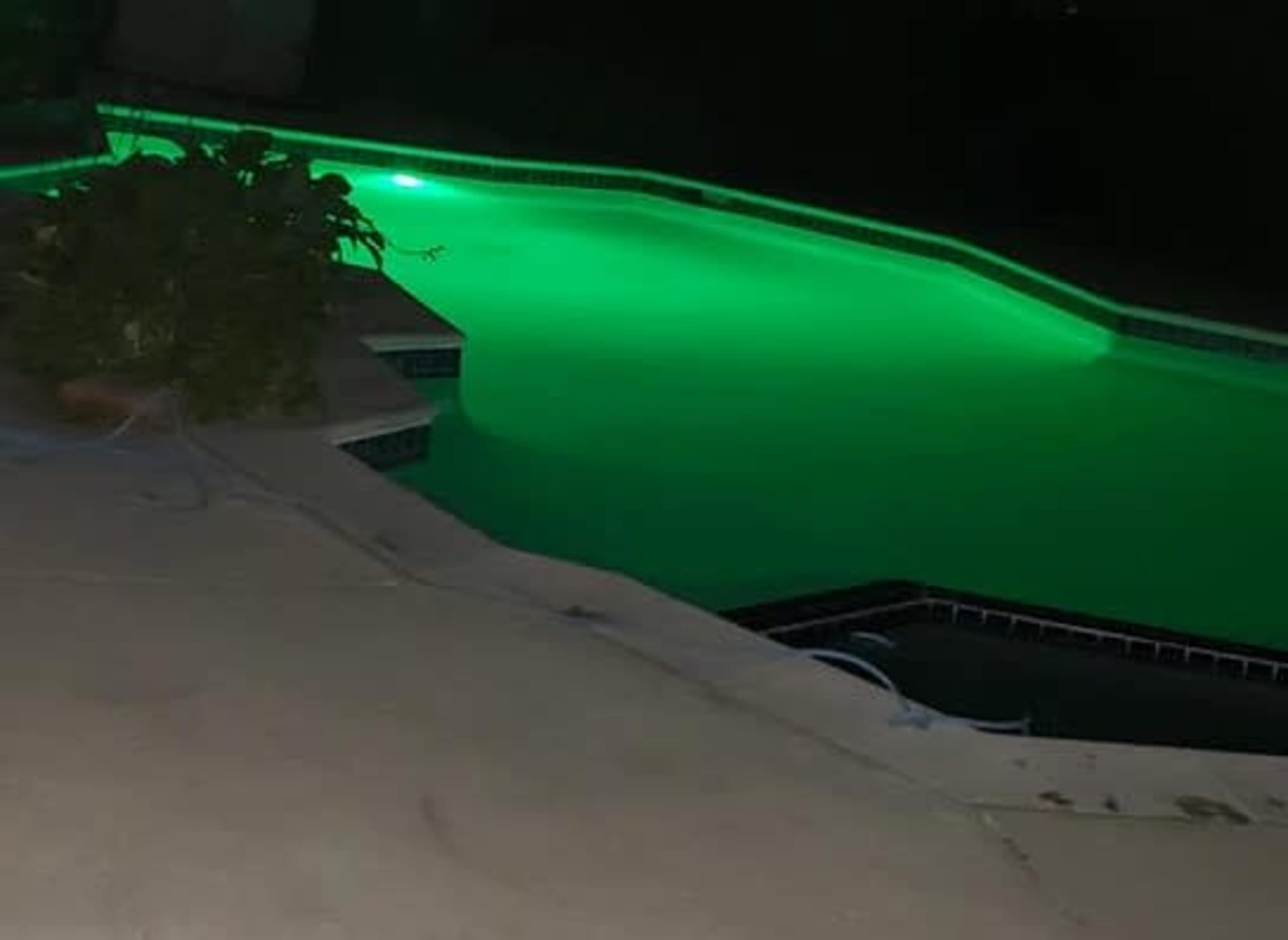 A swimming pool illuminated with green lights sits at night beside a concrete patio and a potted plant.
