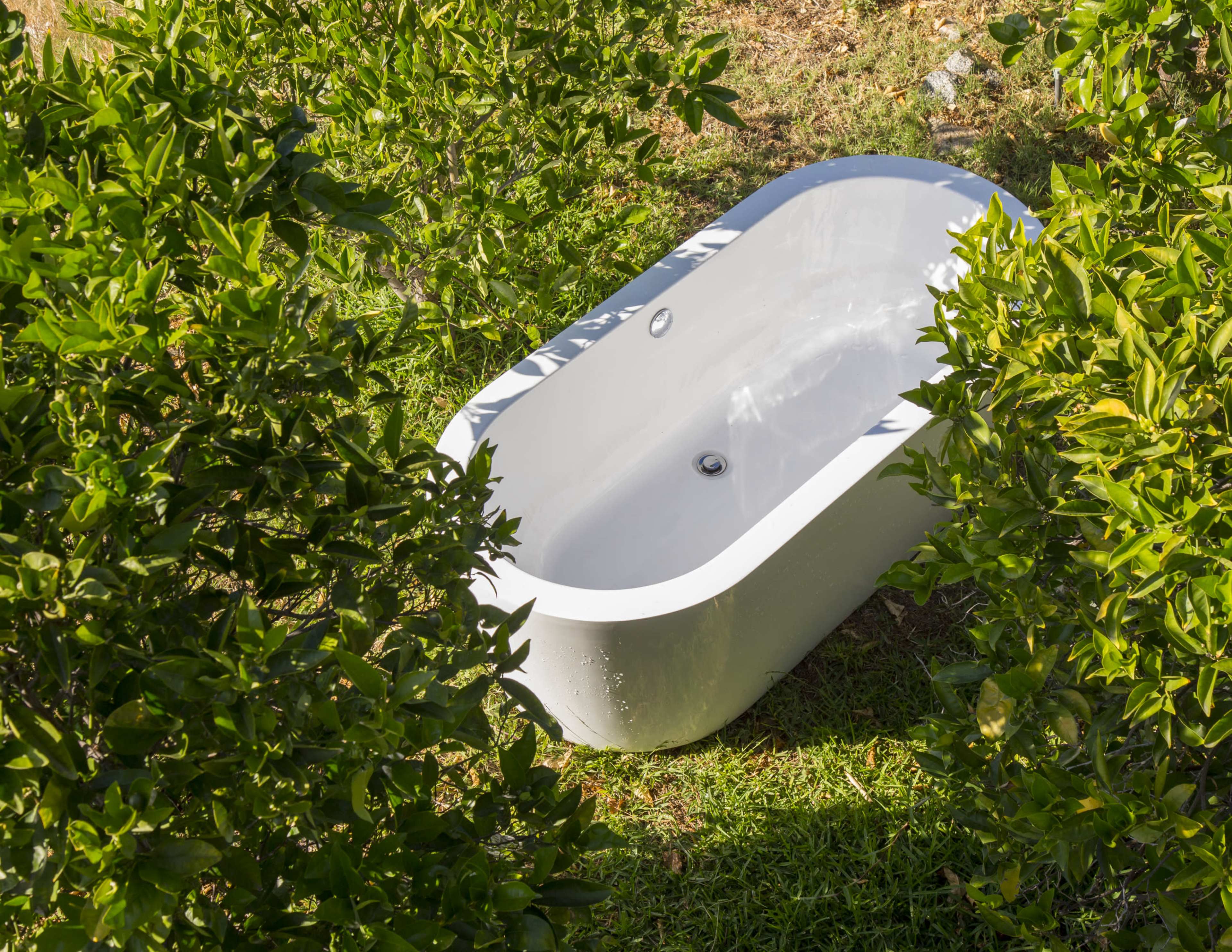A white oval bathtub is surrounded by lush green shrubs in a grassy area.