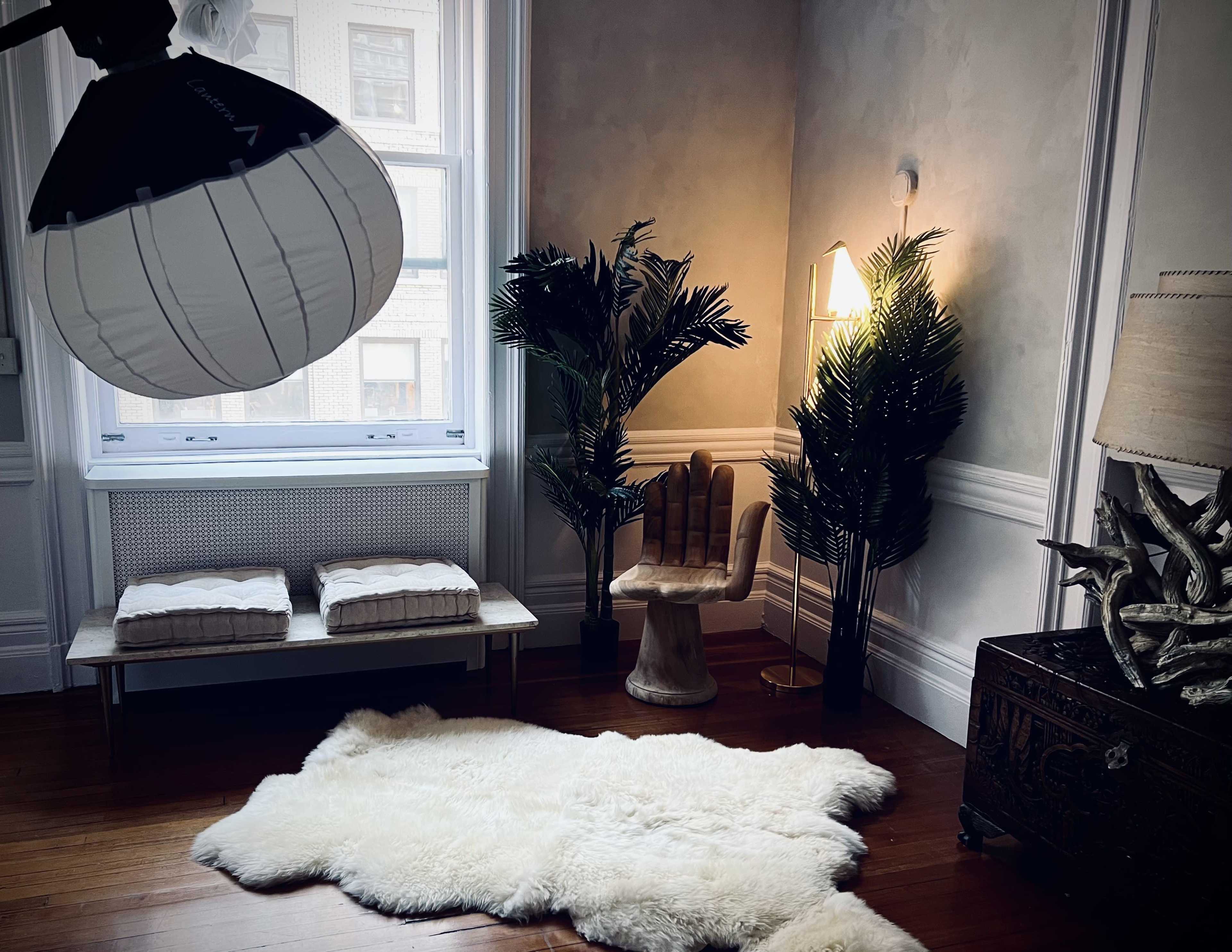 The image shows a cozy interior corner with a chair, potted plants, a fur rug on the wooden floor, and soft lighting from a floor lamp.