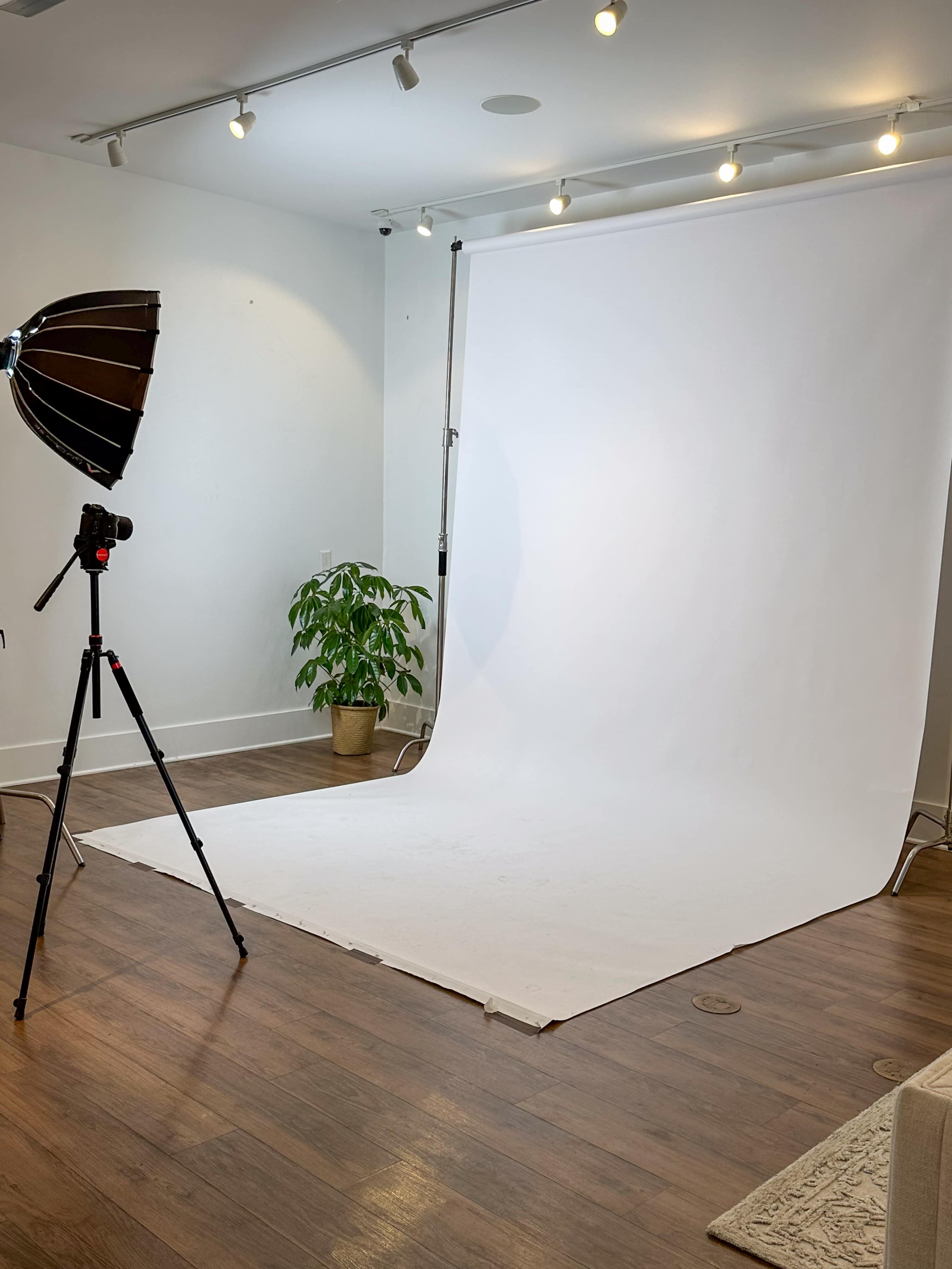 The image shows a photography setup with a light source, a camera on a tripod, and a blank white backdrop in a well-lit room with wooden flooring.