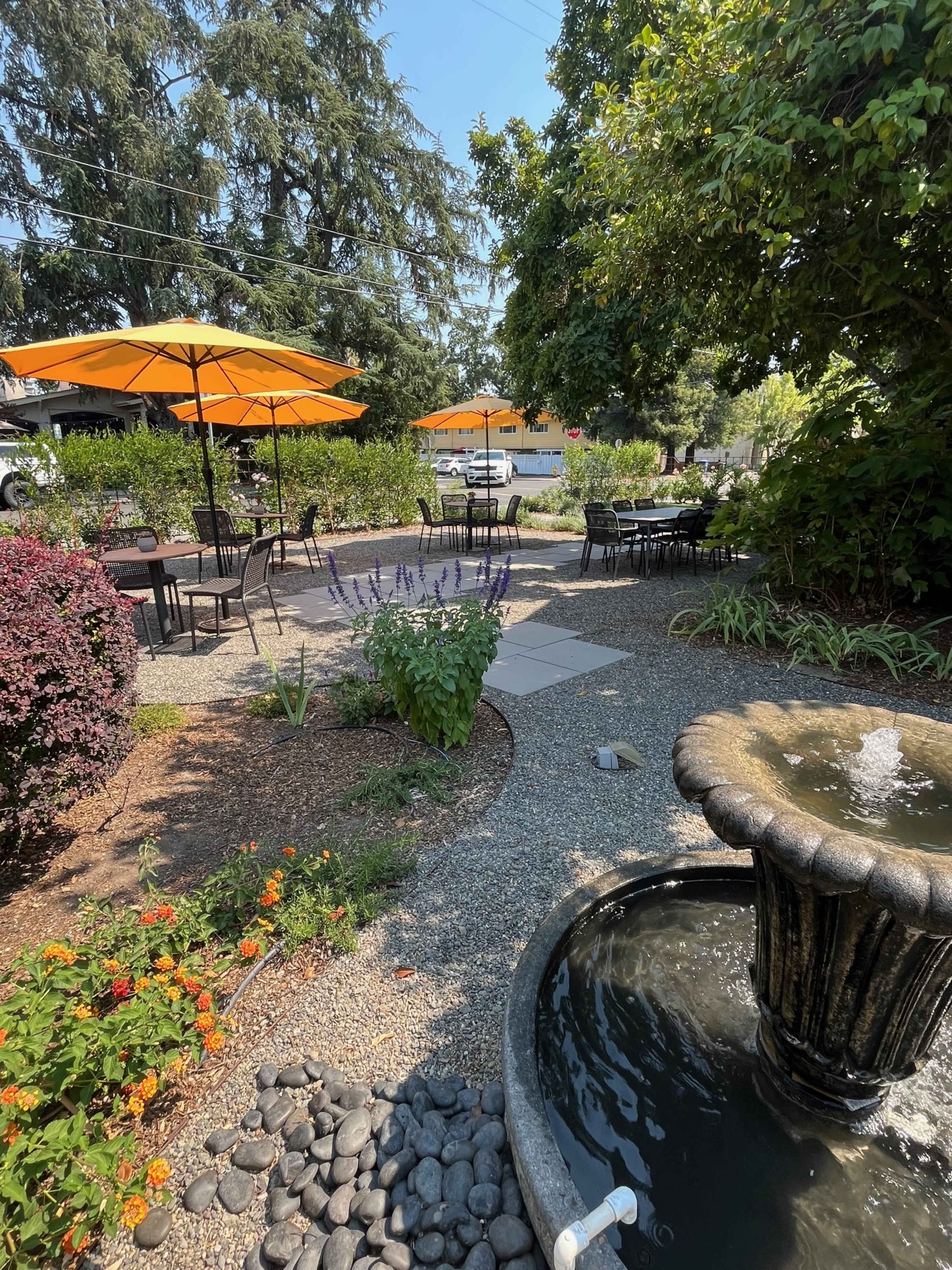 The image shows a landscaped outdoor seating area with orange umbrellas covering metal tables, a fountain at the forefront, and various plants throughout.
