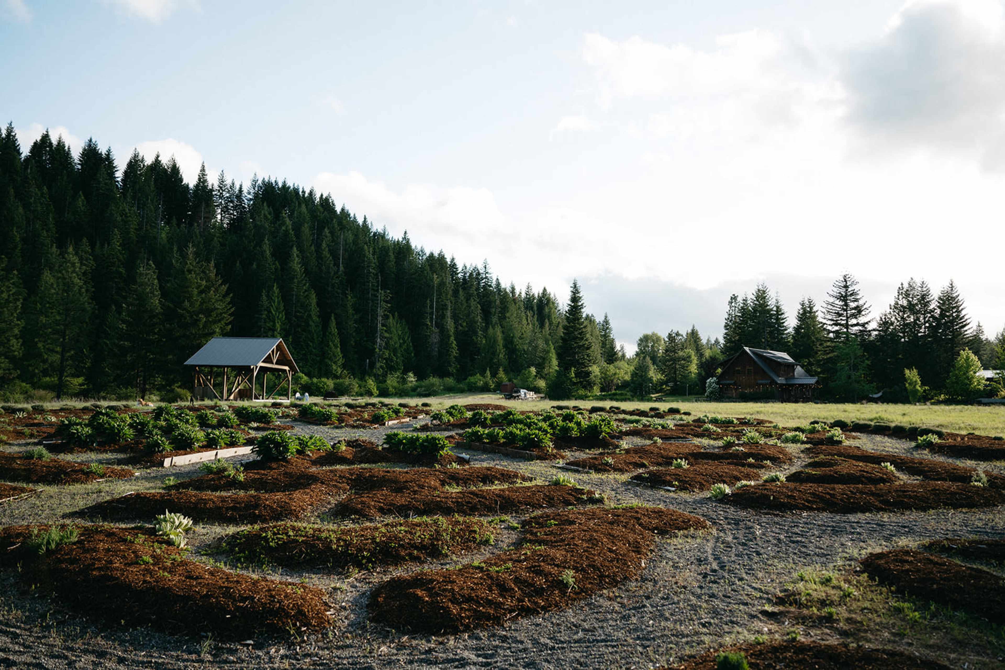 The image shows a rural farm with raised garden beds surrounded by trees and two wooden structures in the background.