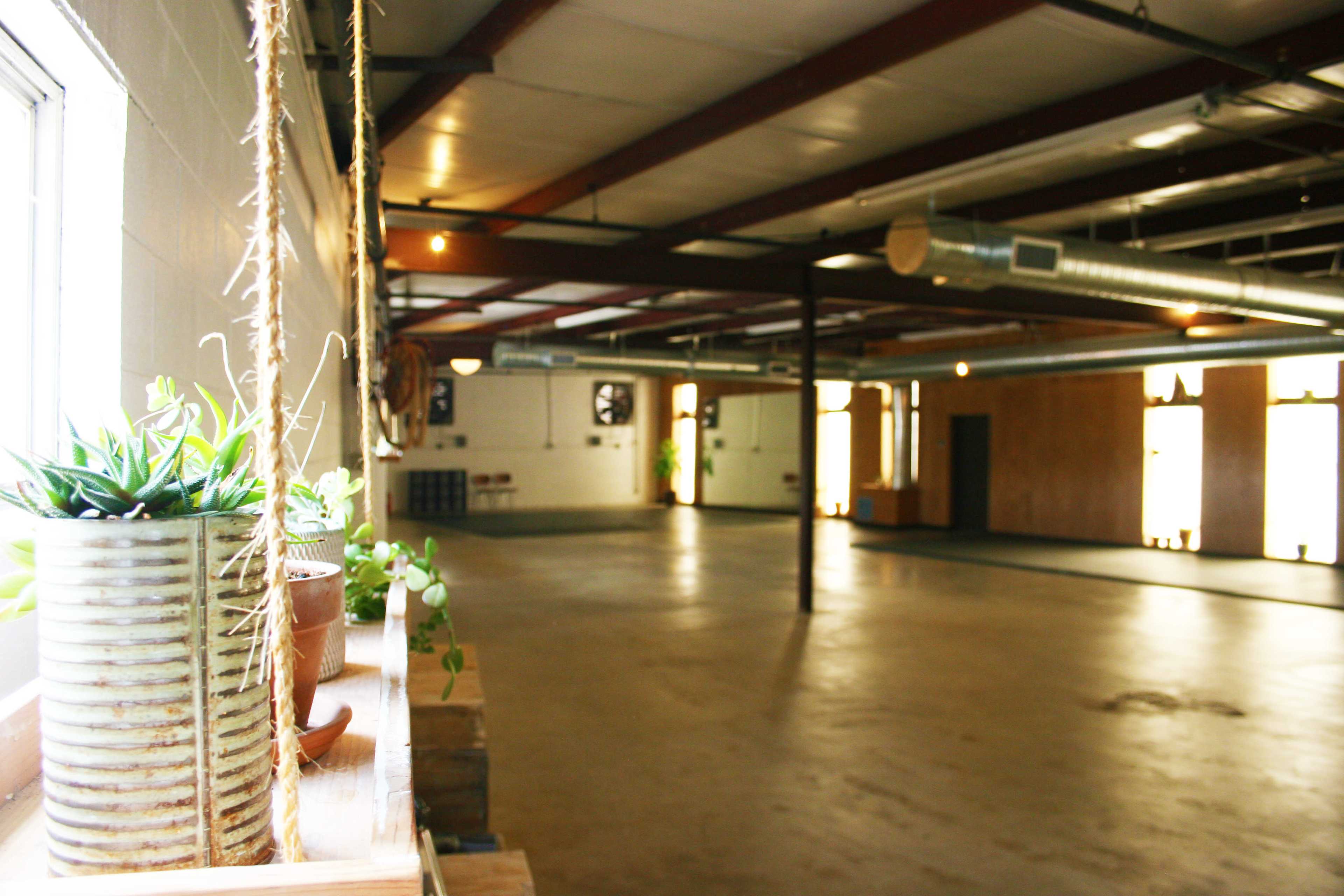 An empty industrial-style room with concrete flooring, exposed beams, and large windows, featuring potted plants on a ledge in the foreground.