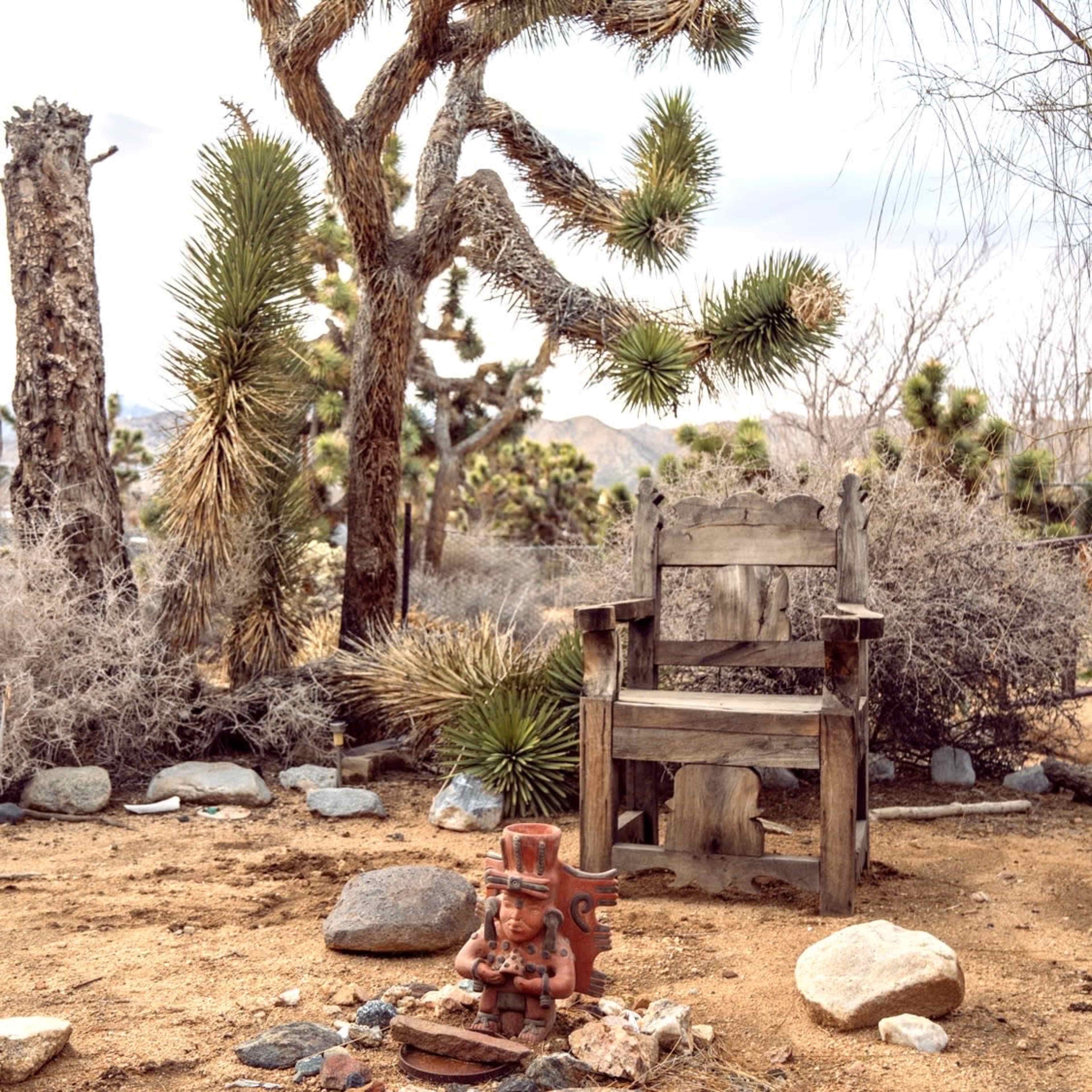 A wooden chair is positioned among desert plants and surrounded by rocks in a dry landscape.