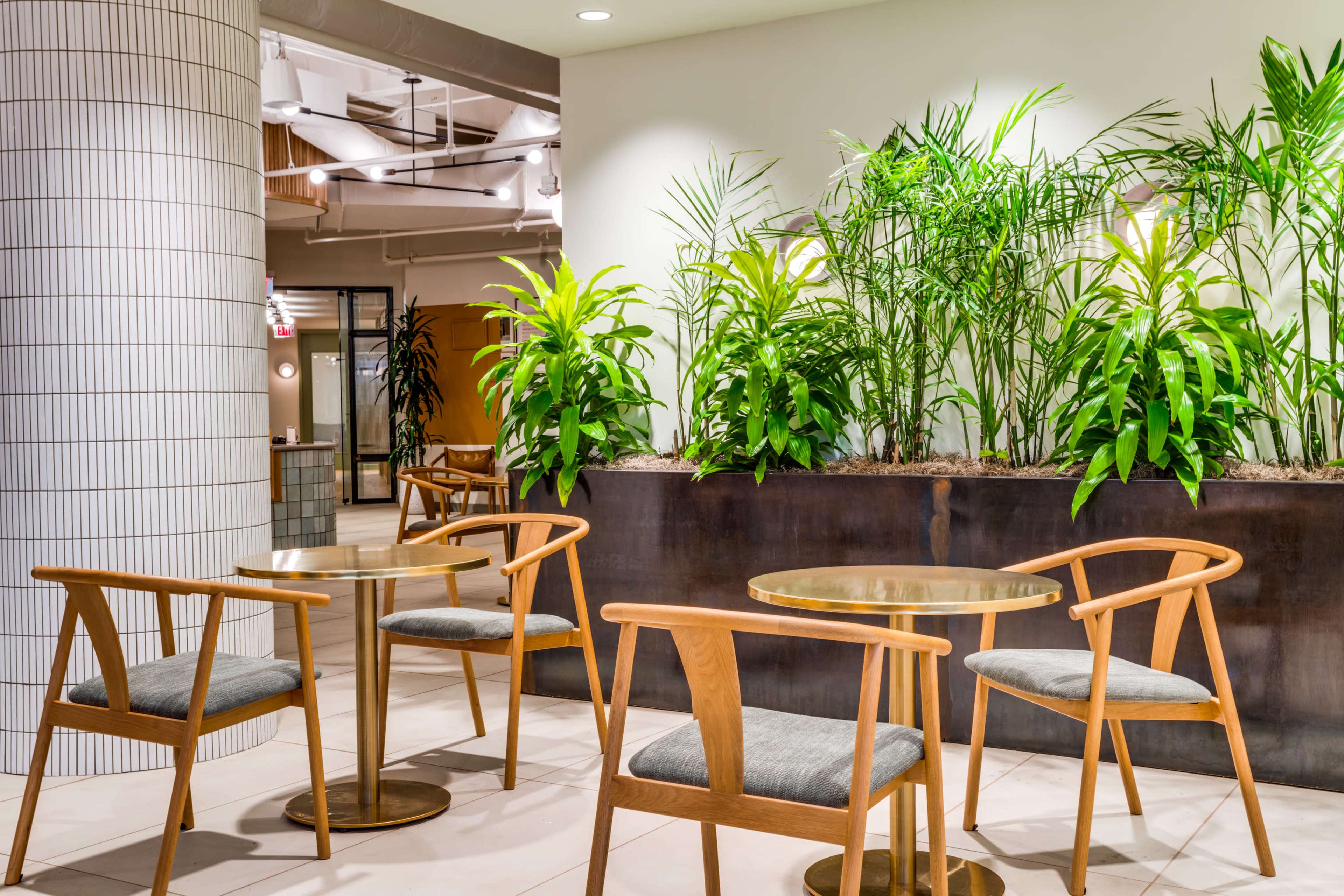 The image shows a modern indoor seating area featuring wooden chairs and tables surrounded by green plants.