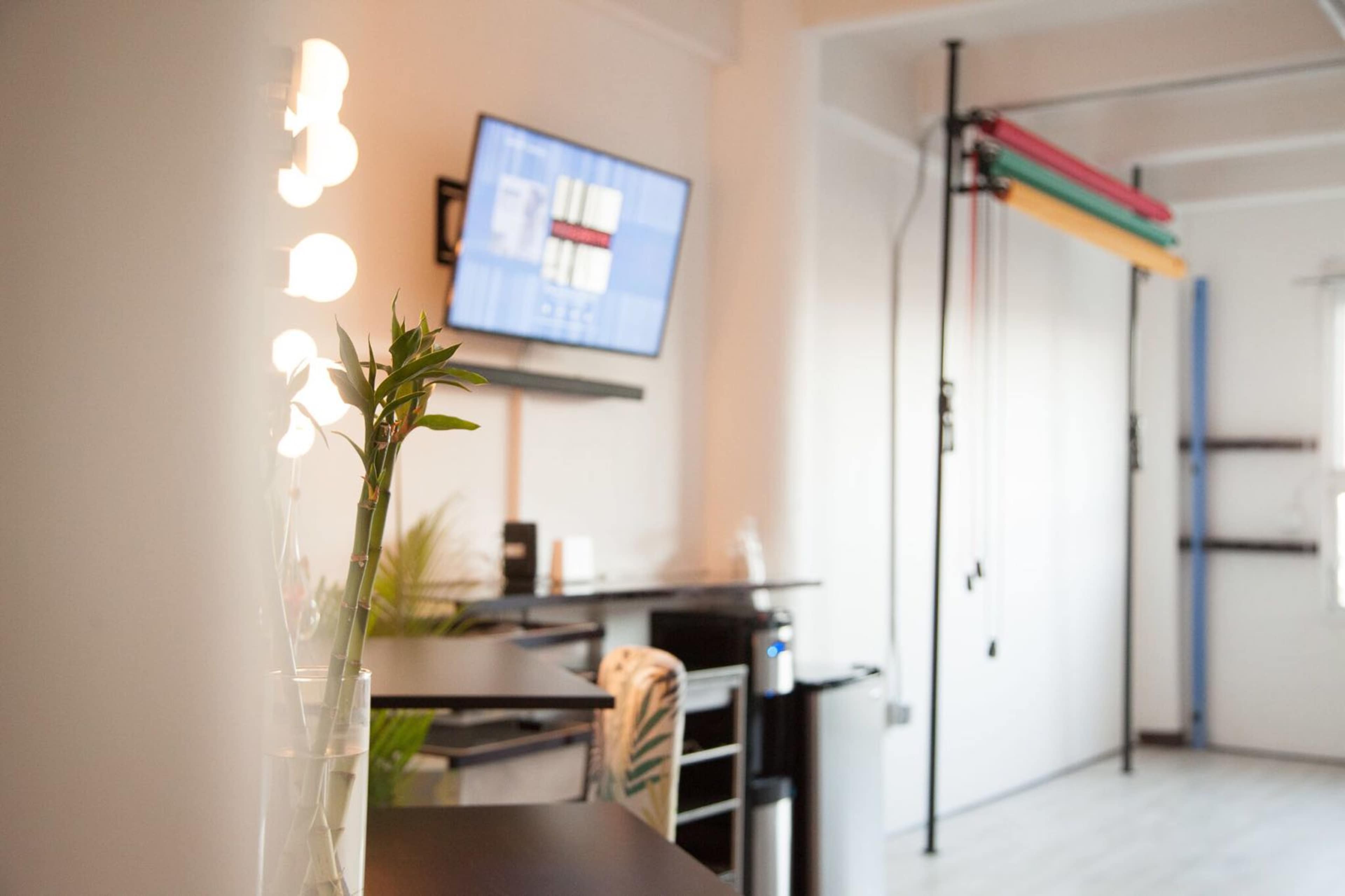 A modern interior features a table with a green plant, a wall-mounted television displaying graphics, and exercise equipment in the background.