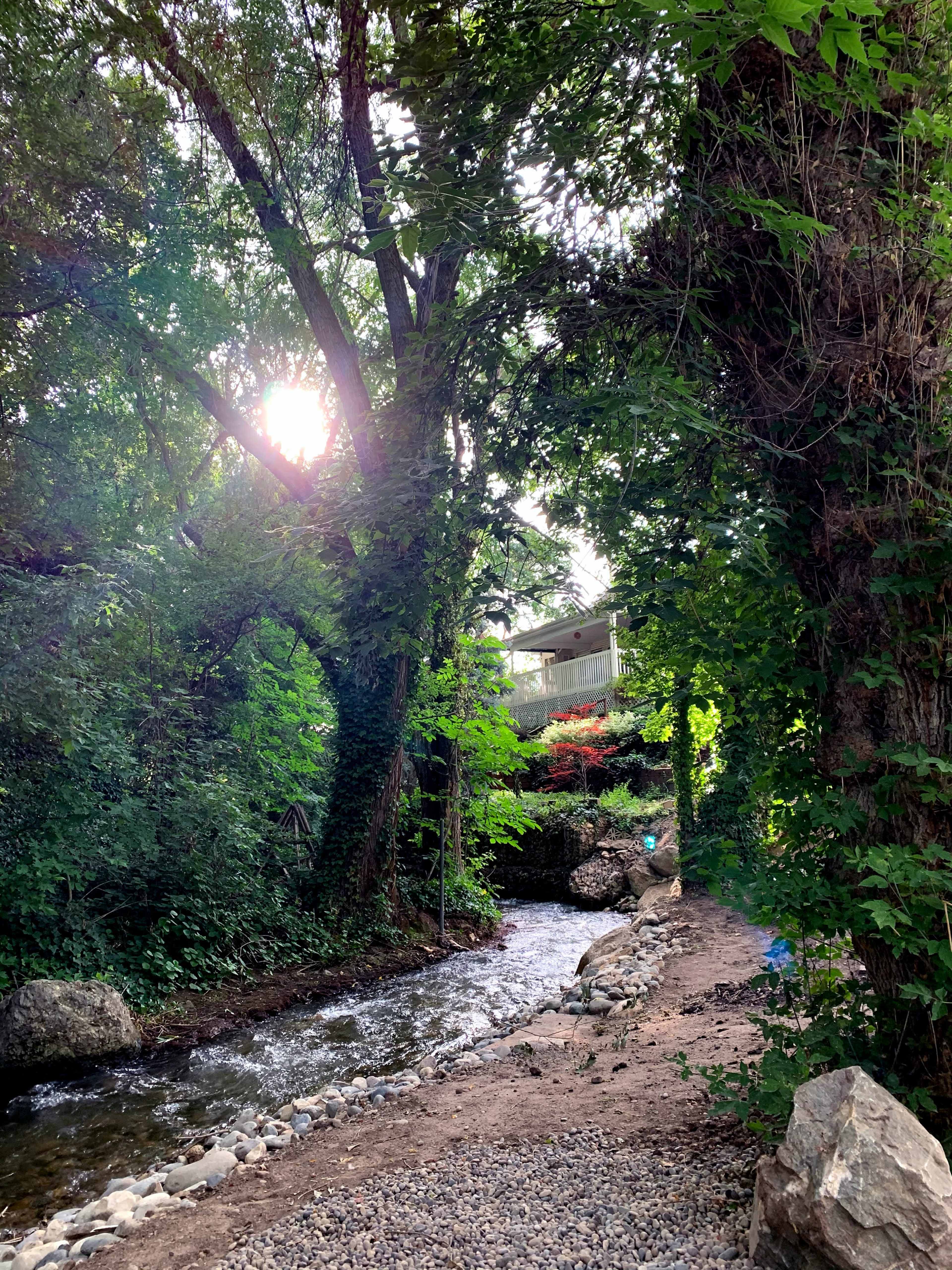A sunlit path along a stream is surrounded by dense greenery and trees, with a house visible in the background.
