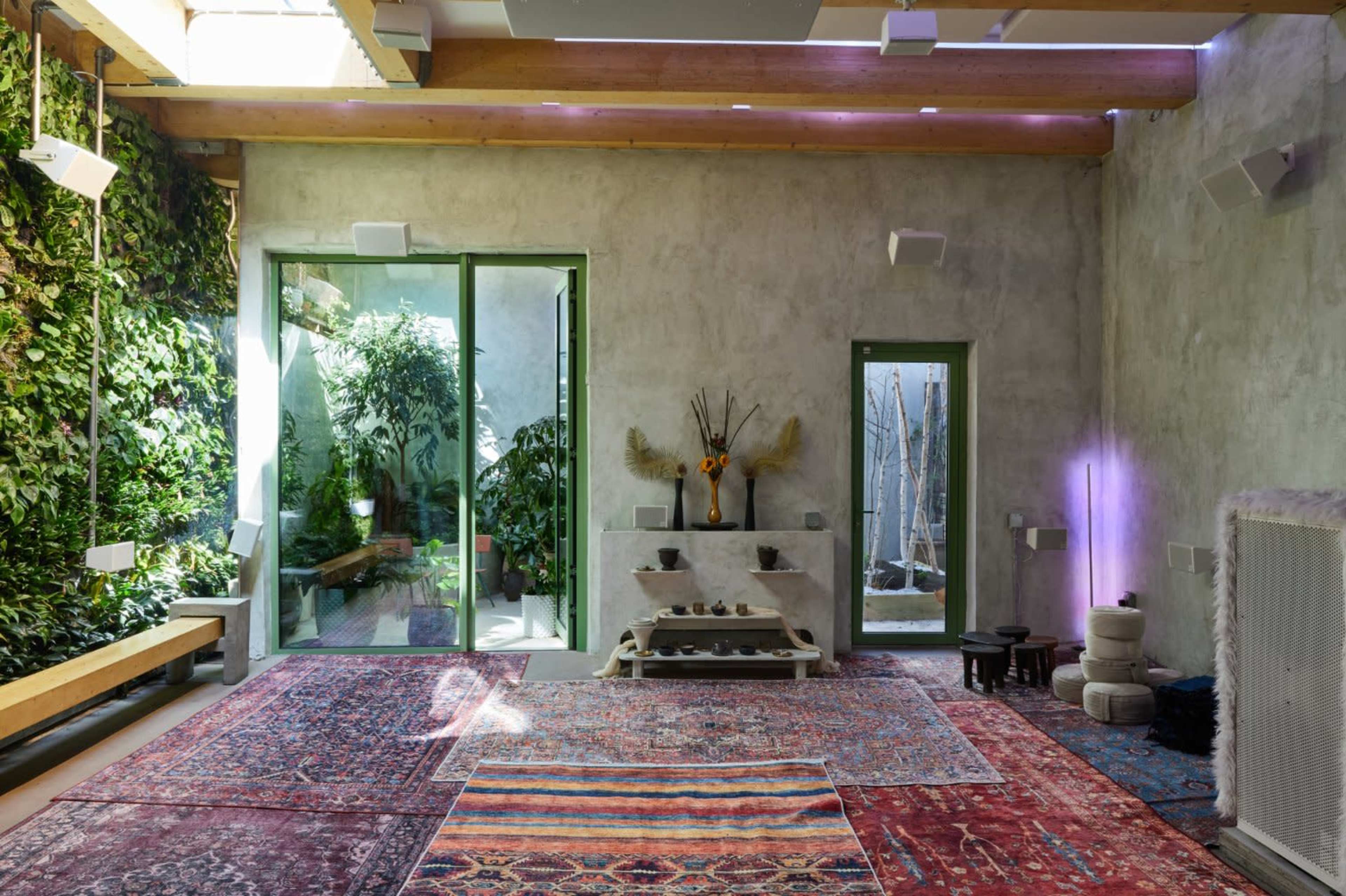 Sustainable and Serene Cafe in Williamsburg Image in Williamsburg, Brooklyn, NY