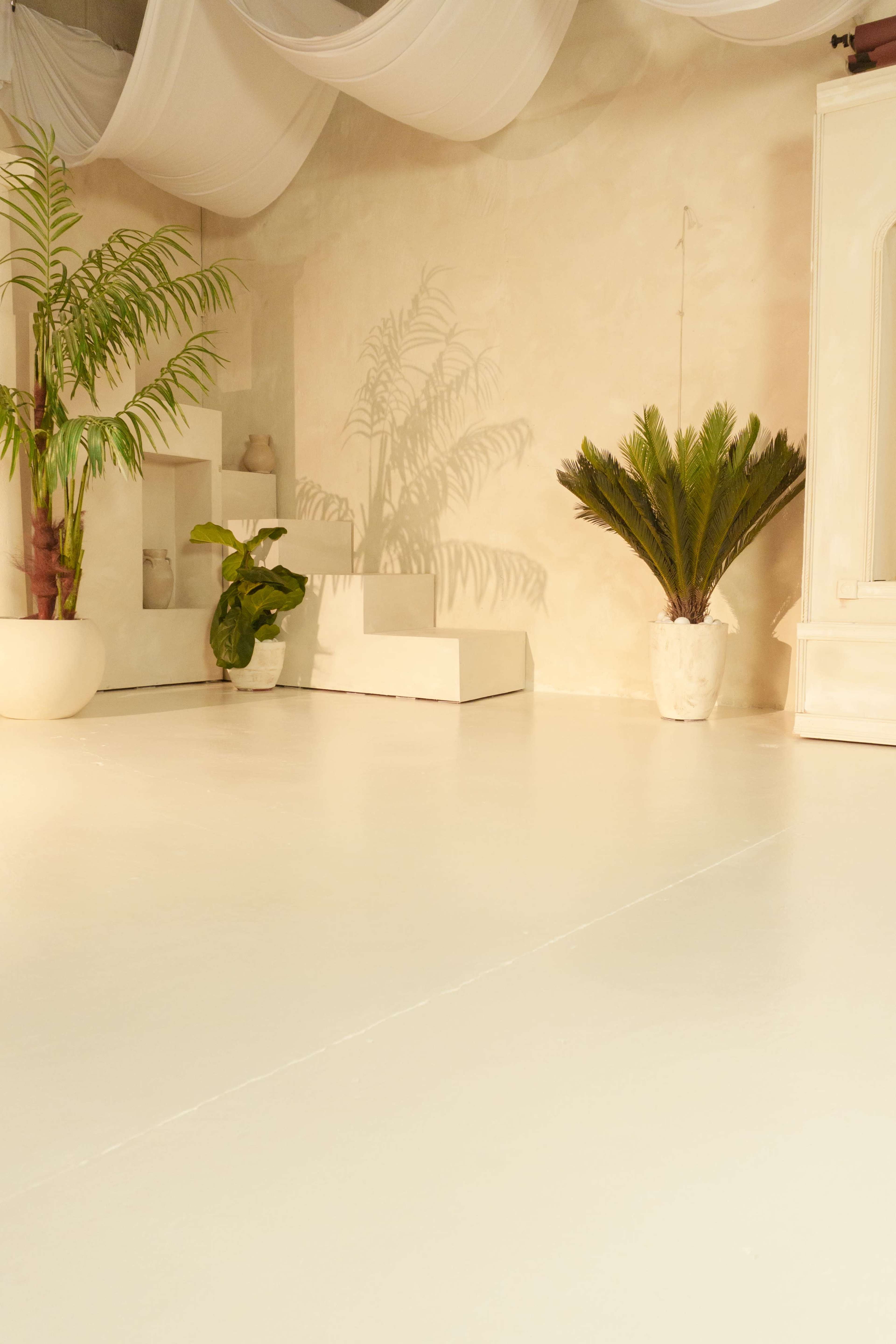 The image shows a minimalist interior space with white walls, a pale floor, and various indoor plants in white pots, along with tiers of white geometric display shelves.