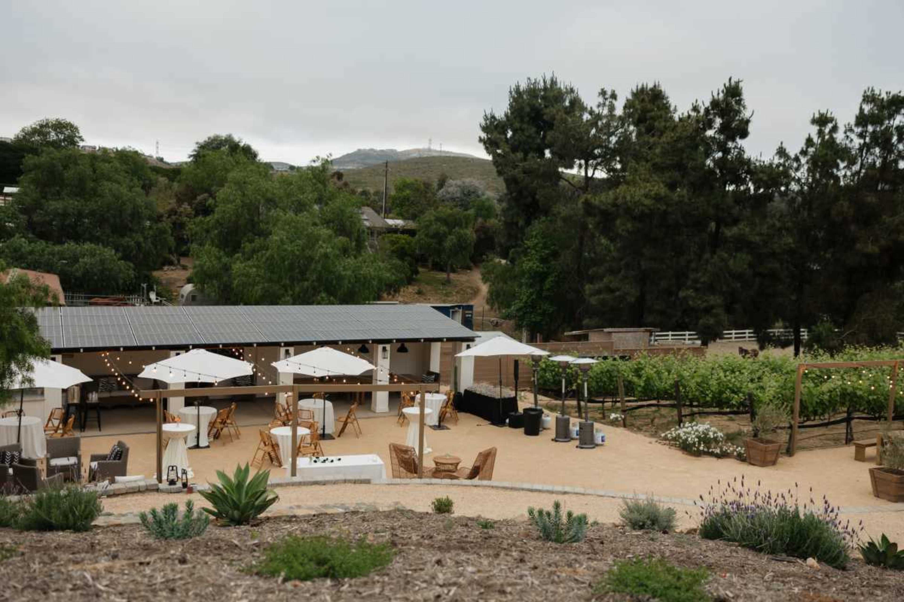Private Vineyard Space Image in Elfin Forest, Elfin Forest, CA