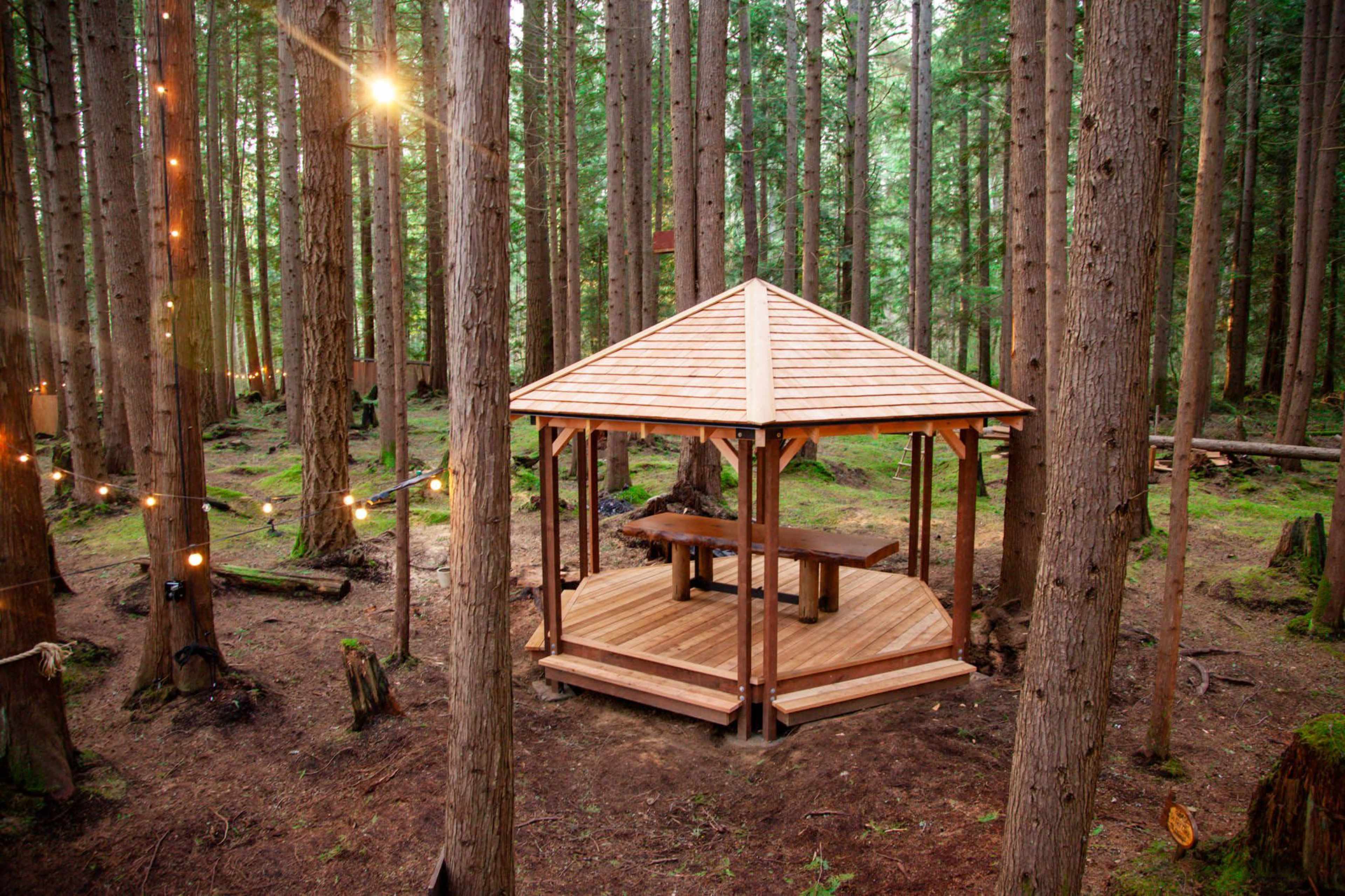 A wooden gazebo with a table is surrounded by tall trees in a forest setting.