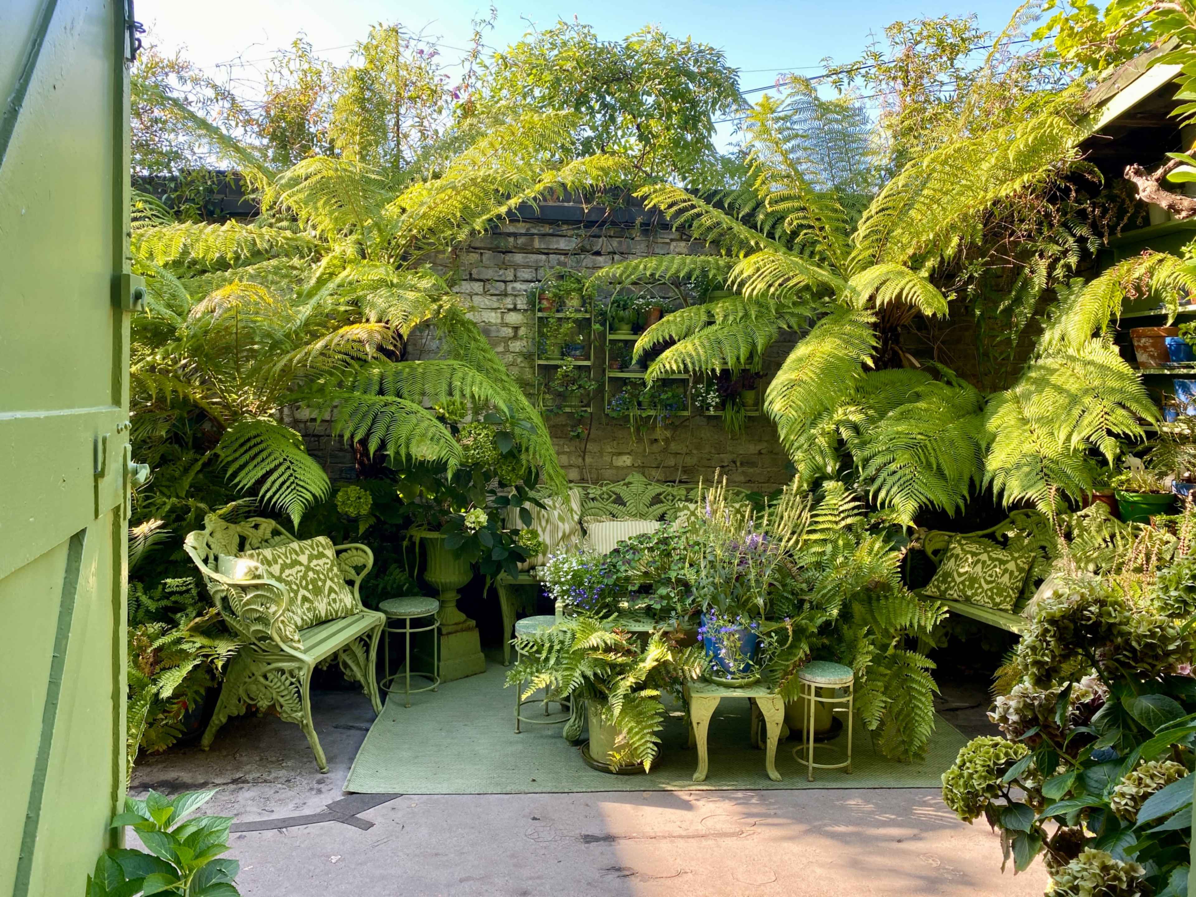 A vibrant garden scene features lush ferns surrounding green furniture and potted plants along a stone wall.