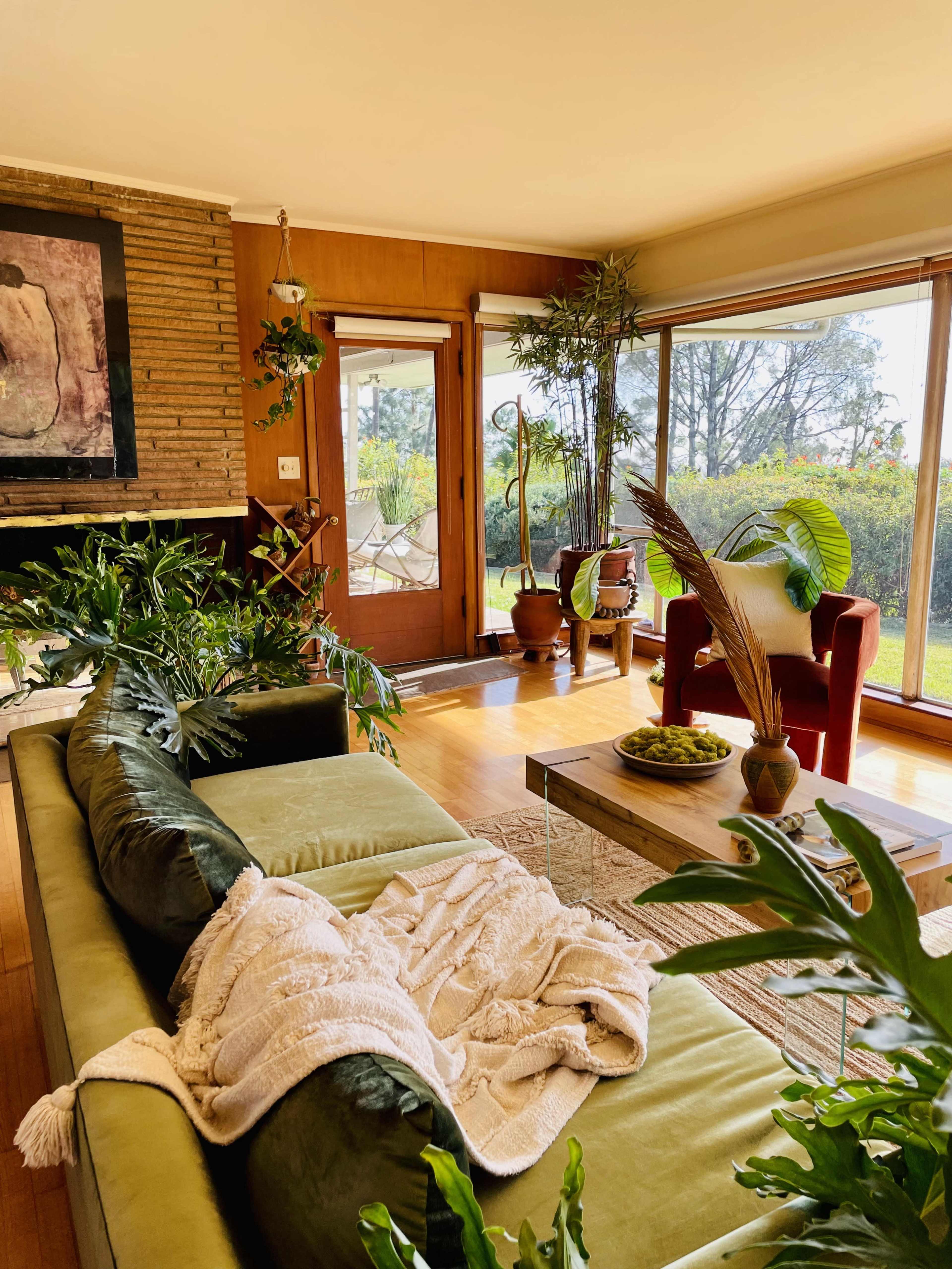 The image shows a welcoming living room with a green sofa, several indoor plants, and large windows that provide a view of the outdoors.