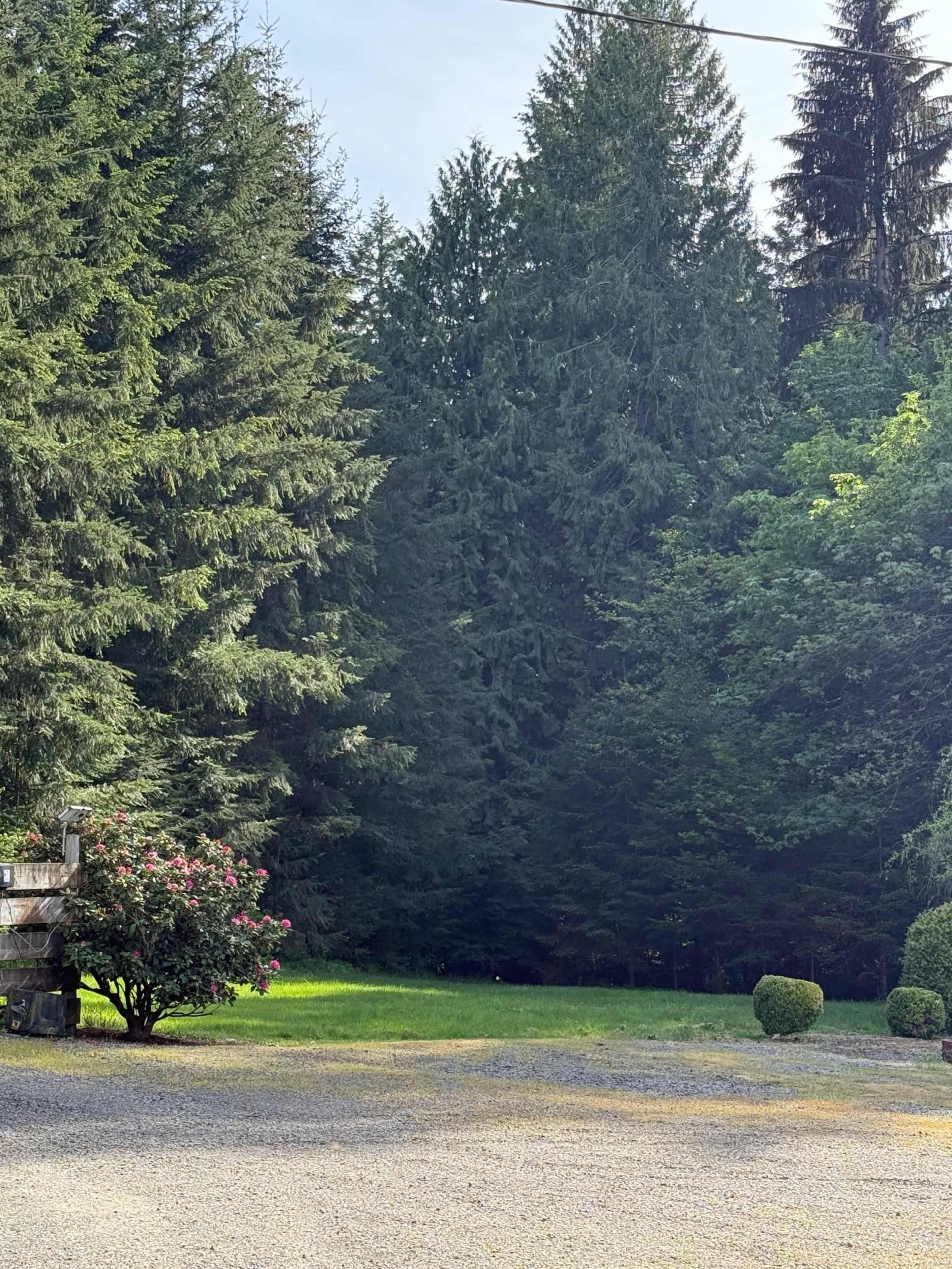 Rustic Barn, Office and Pasture Areas Image in , Beavercreek, OR
