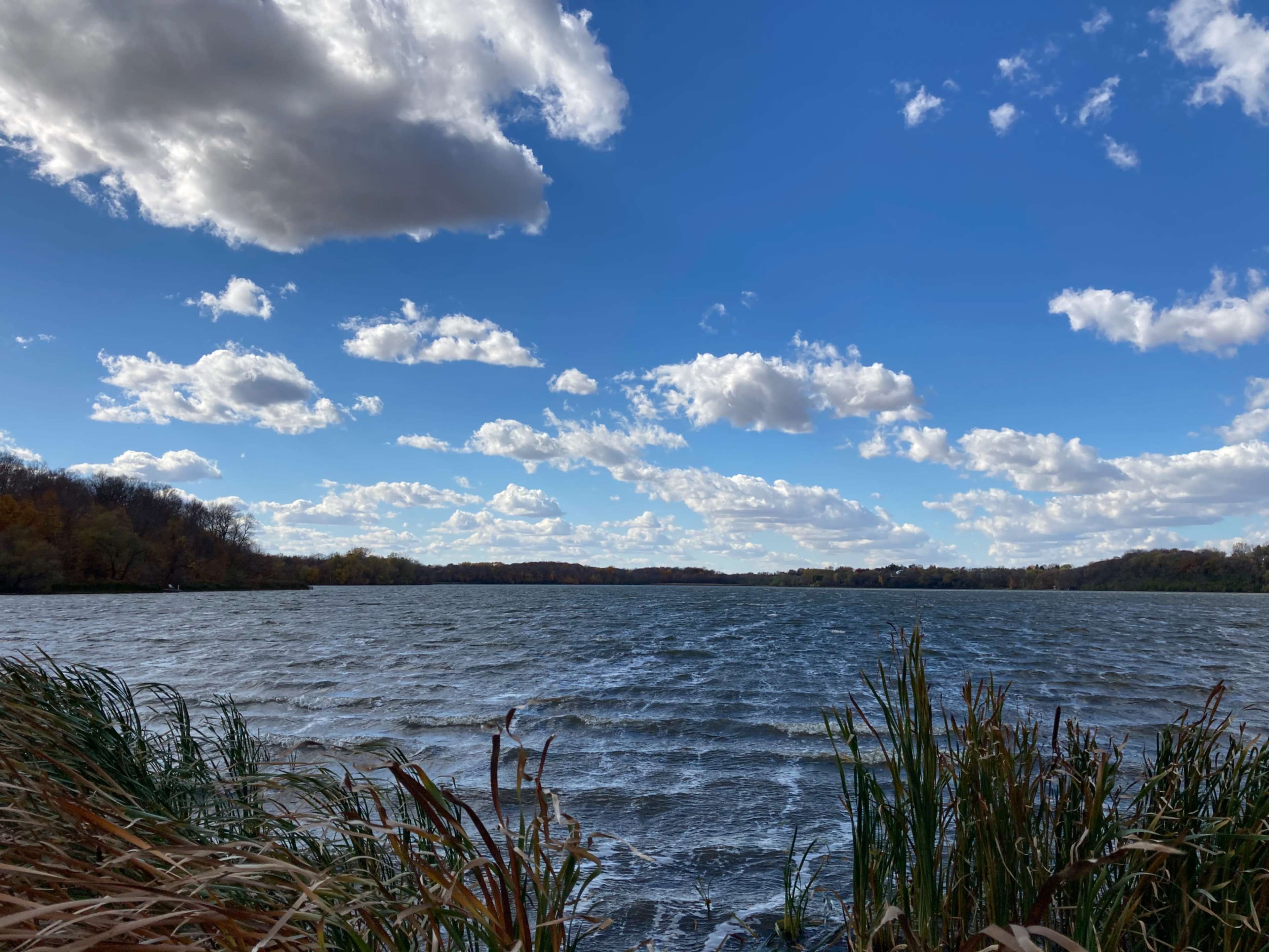MN’s 1st Private Mental Health Park-Forested with Lakeshore on a private lake-40 mins west of the Twin Cities Image in , Watertown, MN