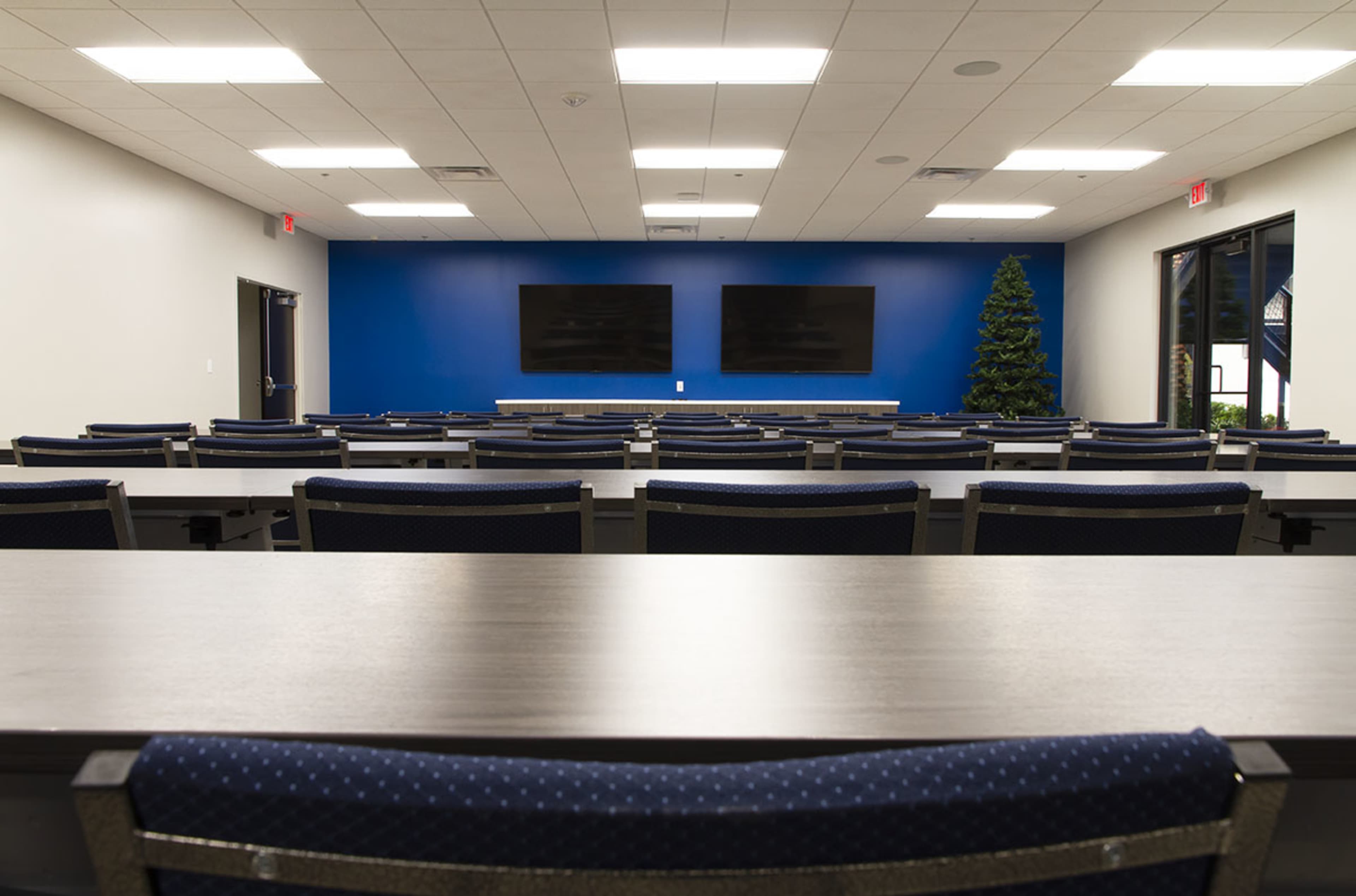A modern conference room with rows of blue and gray chairs, two large screens on a blue wall, and a decorative tree in one corner.