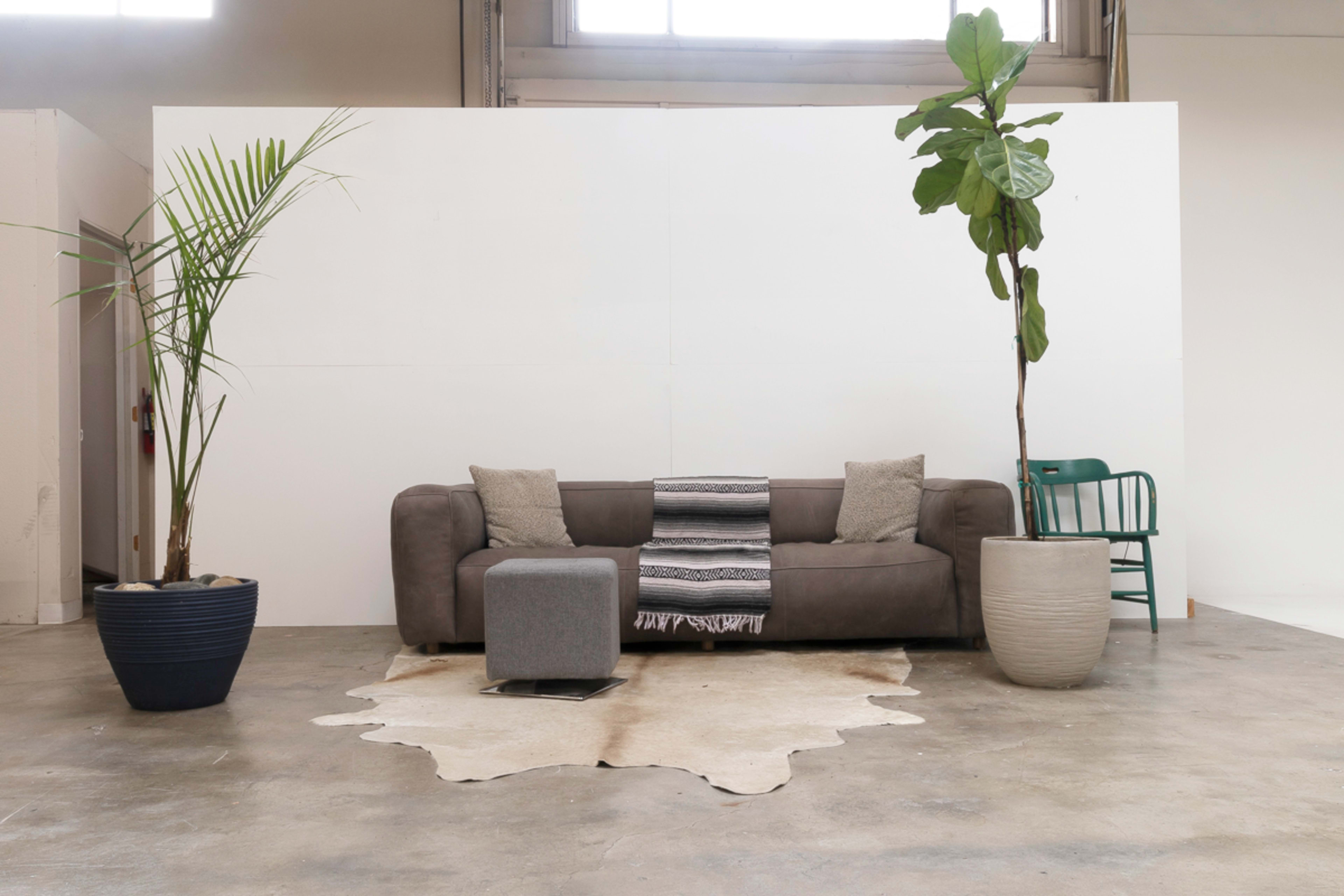 A gray sofa with two pillows and a blanket sits in front of a white wall, accompanied by two potted plants and a small gray table on a cowhide rug.