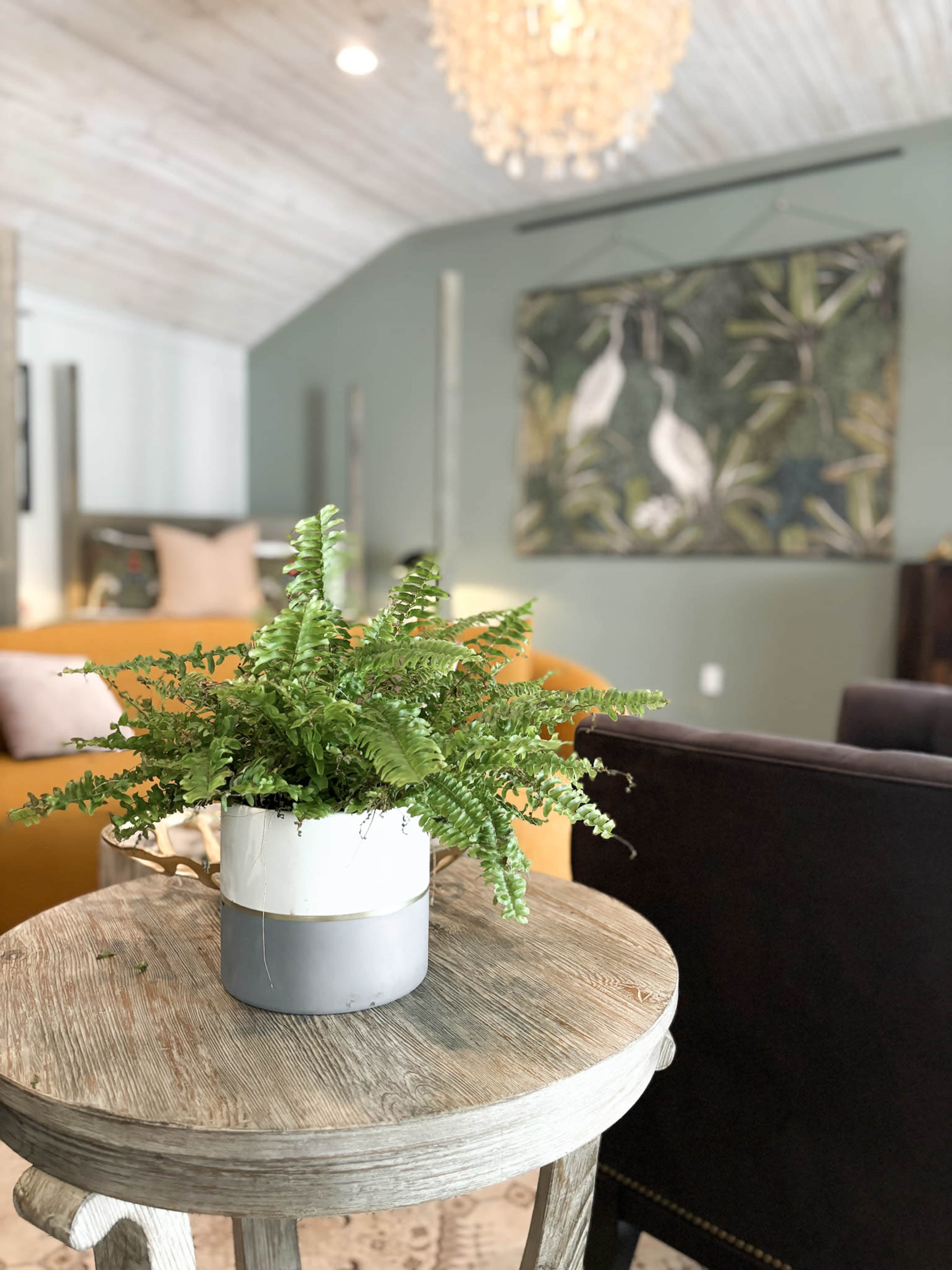 Spacious Clubhouse Suite Image in Bellville, Bellville, TX