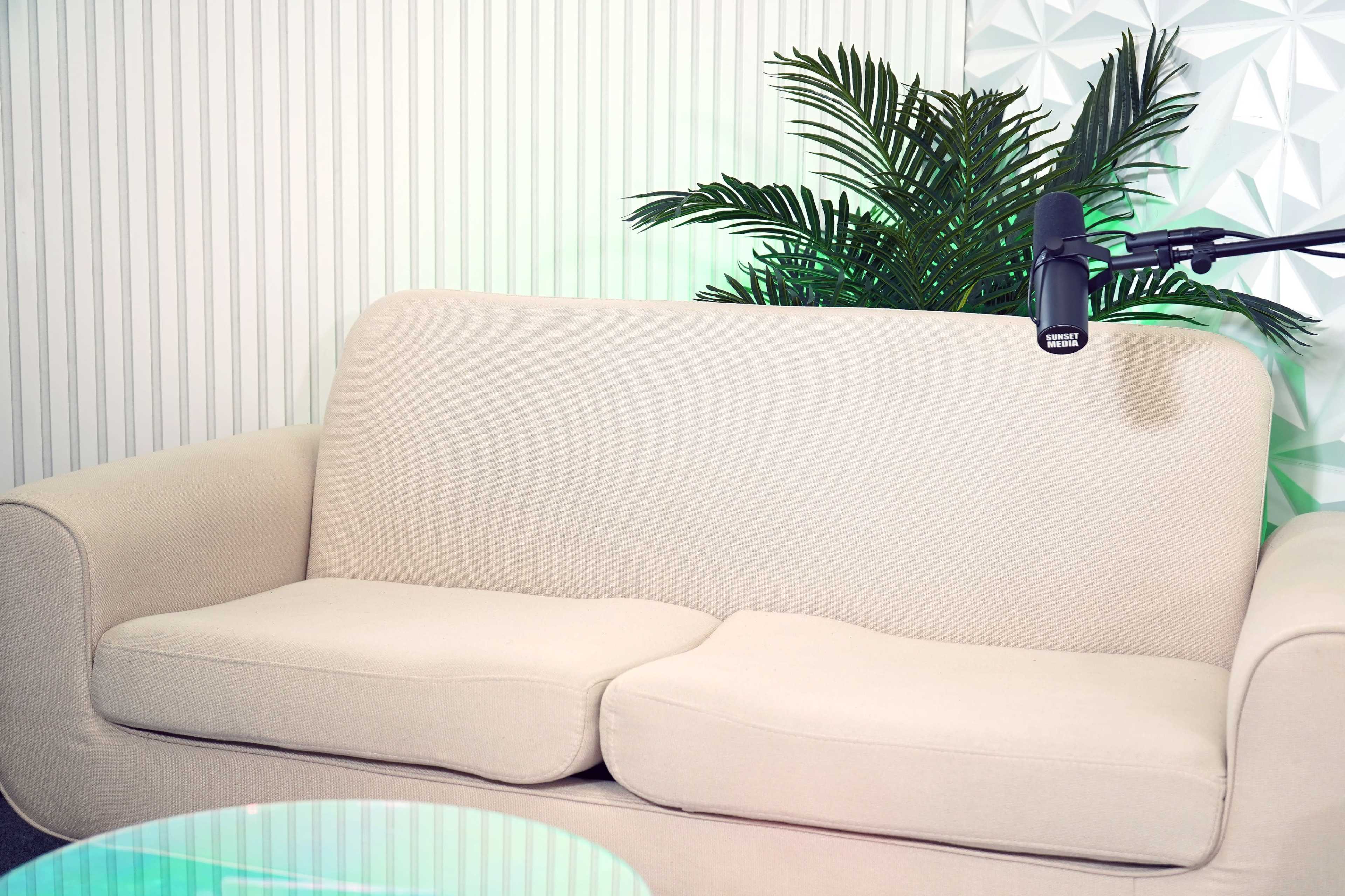 A beige couch sits against a textured white wall, accompanied by a decorative green plant and a microphone on a stand.