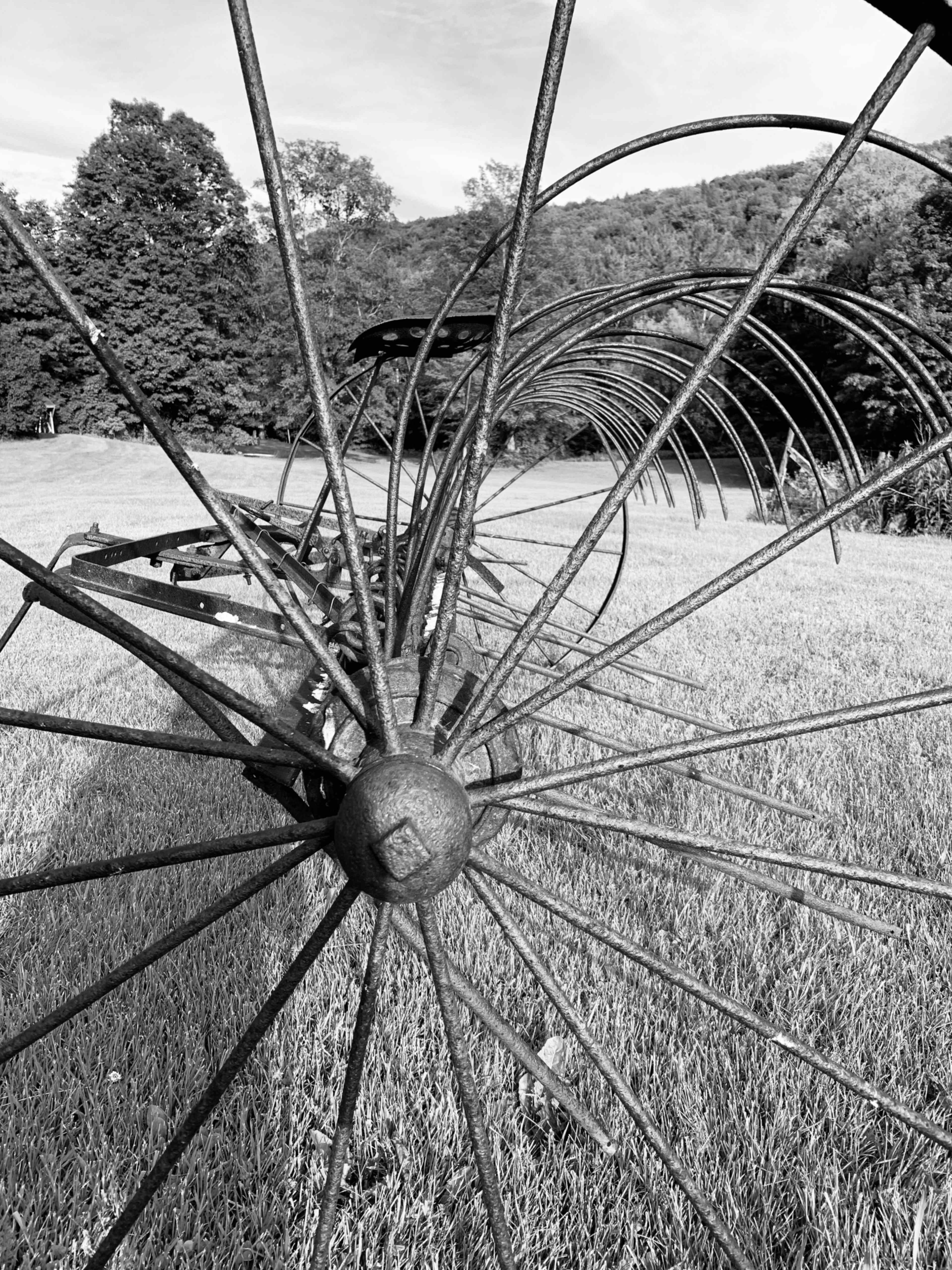 A antique metal hay rake with curved tines rests on a grassy field, stretching into the background.