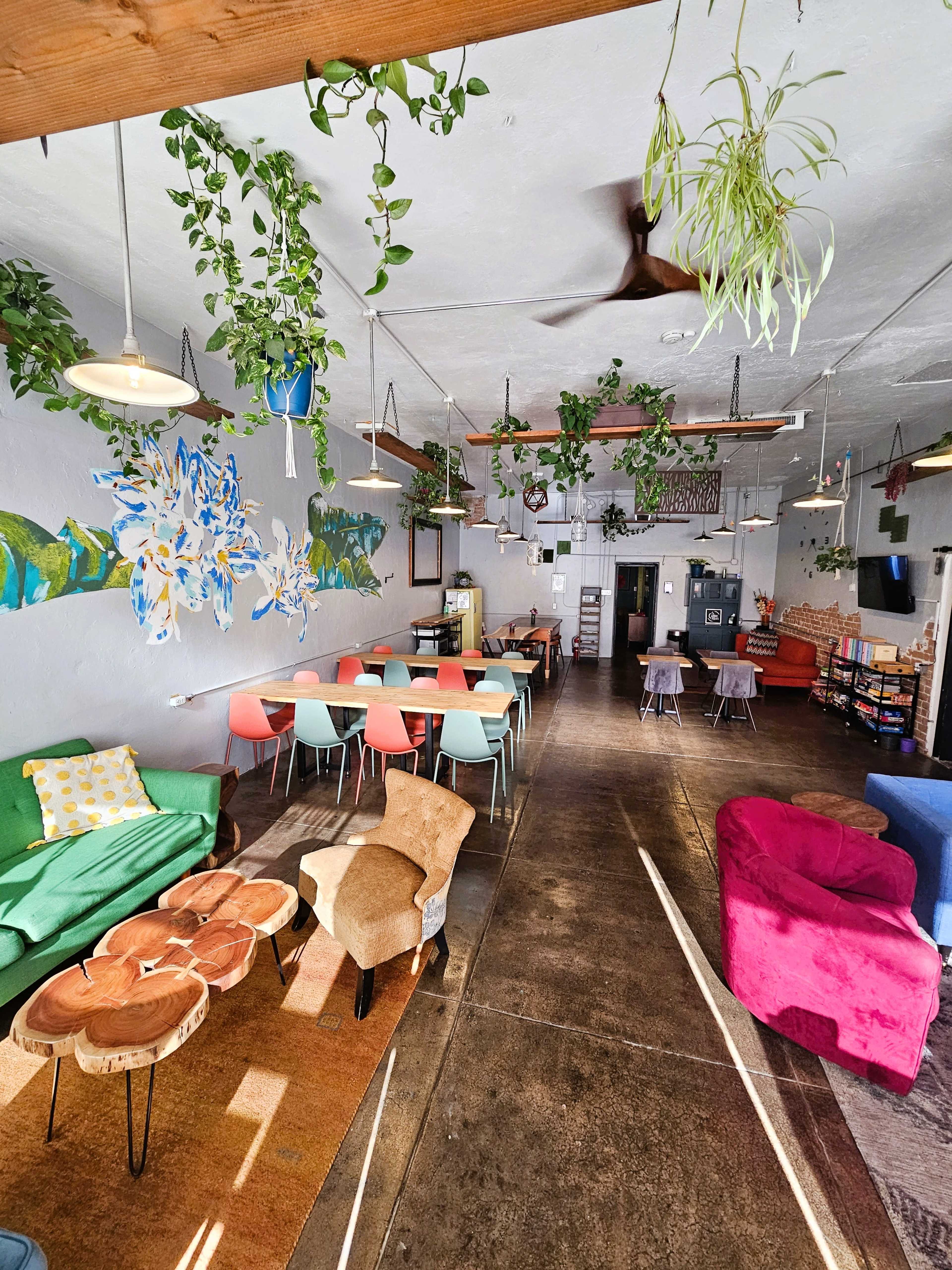 The image shows a colorful café interior filled with plants hanging from the ceiling, featuring various seating areas with tables and chairs.