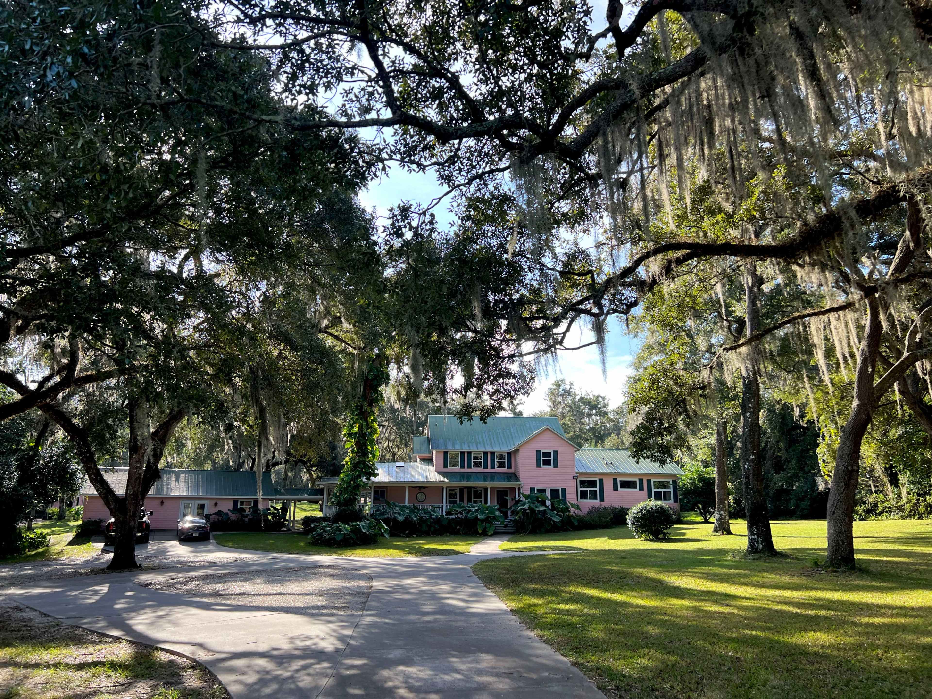 A large, two-story pink house with a green metal roof is set back from a paved driveway surrounded by tall trees and Spanish moss.