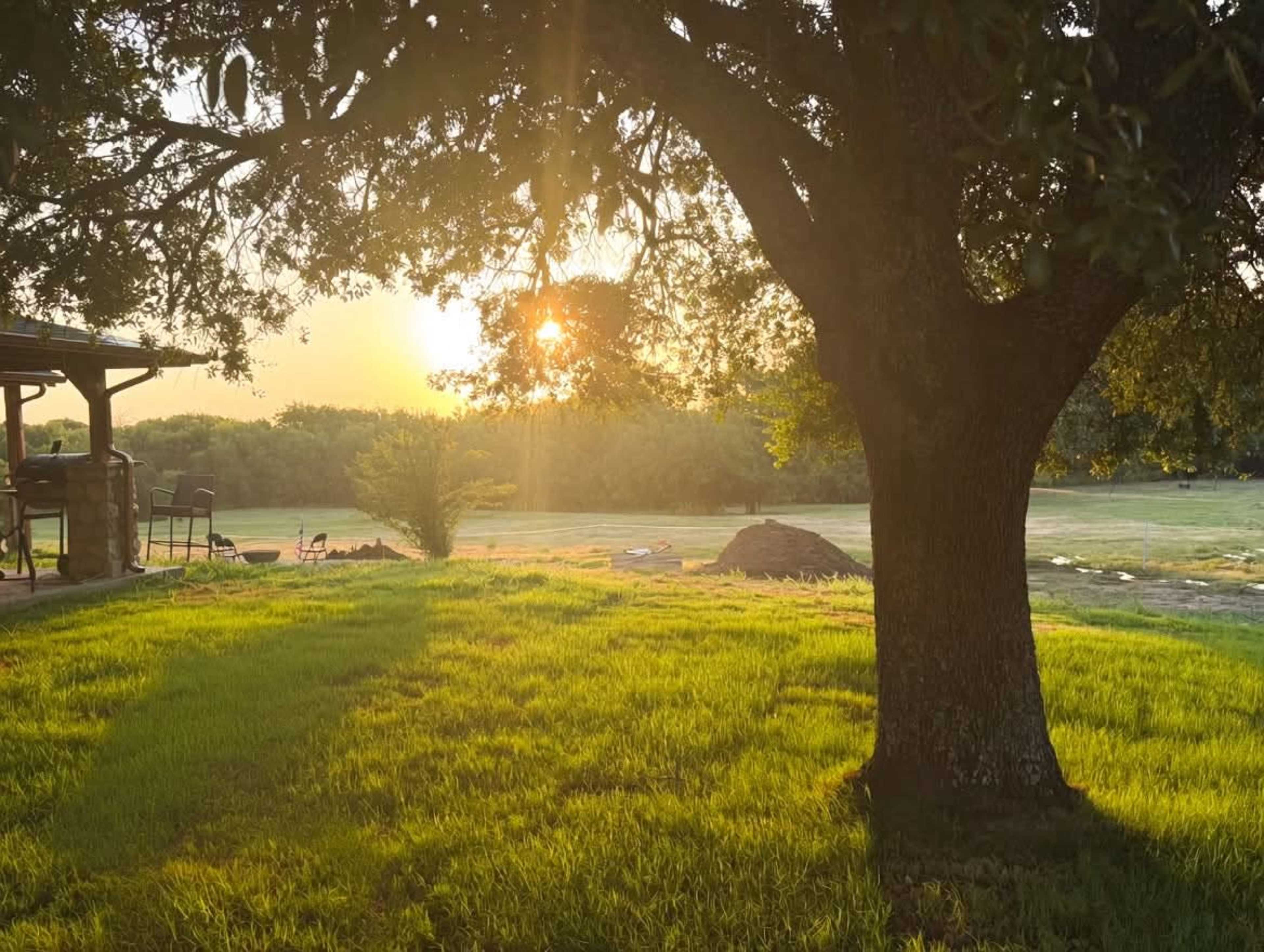 The image shows a sunset behind a large tree in a grassy field, with a porch and a pile of soil visible nearby.