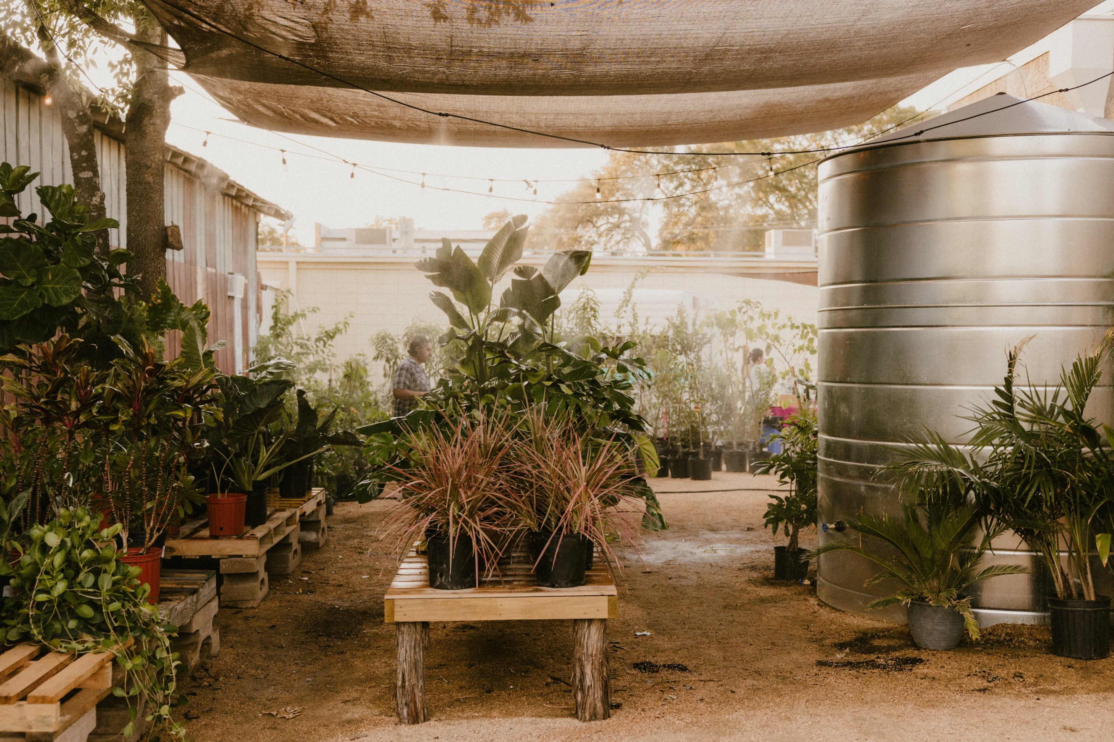 The image shows a garden area with various potted plants arranged on wooden benches, alongside a large metallic water tank.