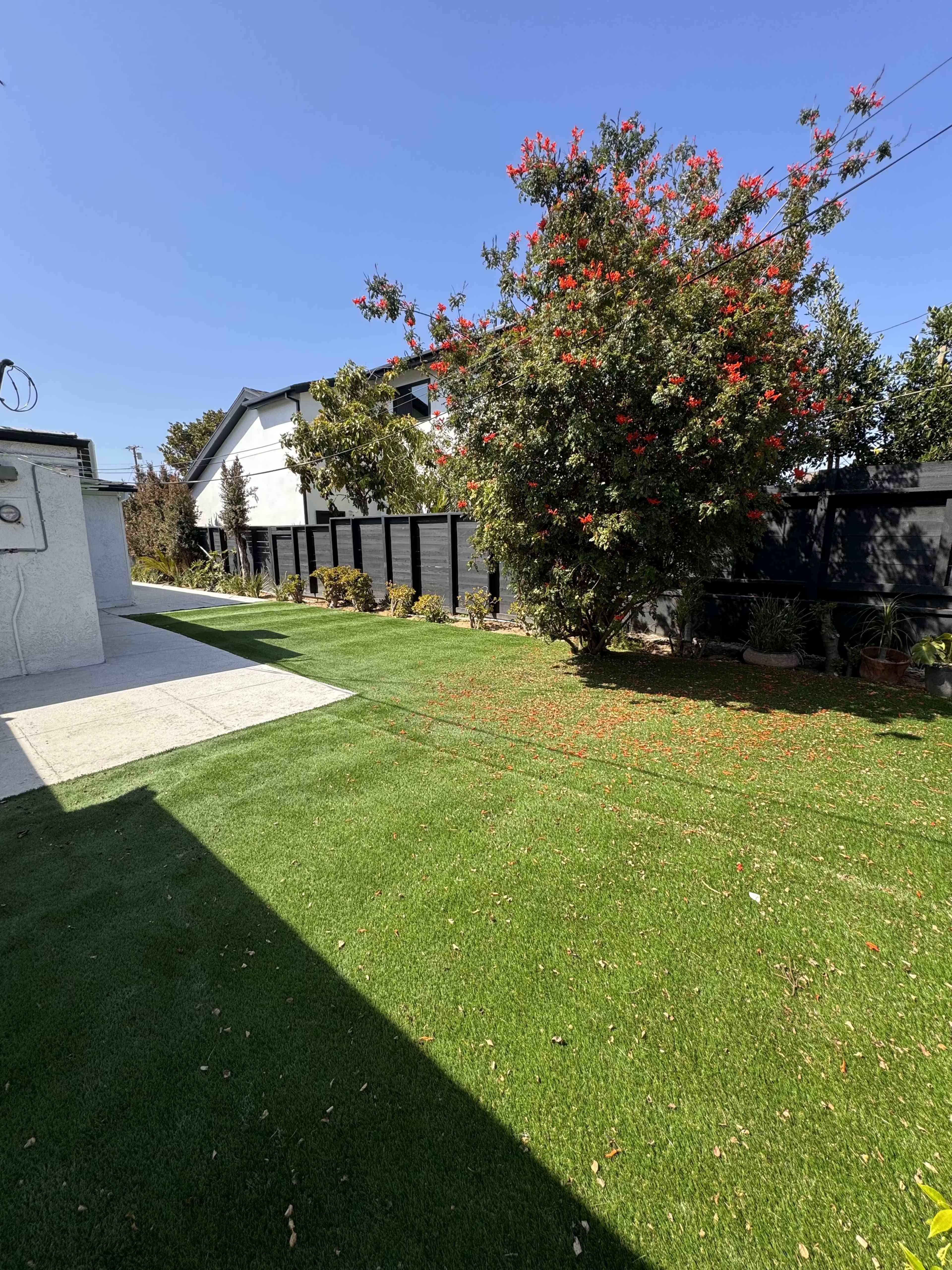The image shows a landscaped yard with a green lawn, a flowering bush, and a white building in the background.