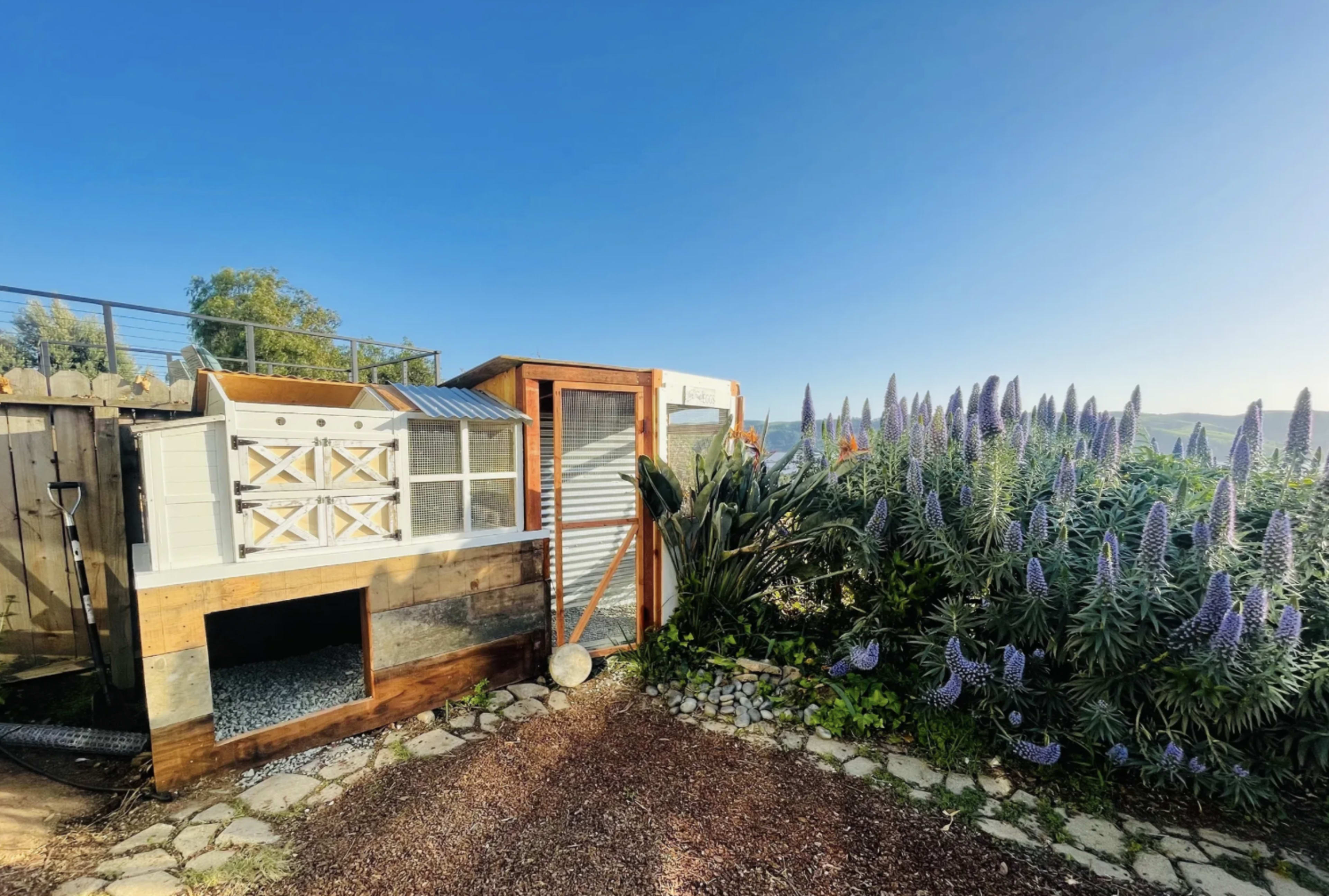 Charming Benicia Micro-Farm with Gardens + Panoramic Views Image in Benicia, Benicia, CA