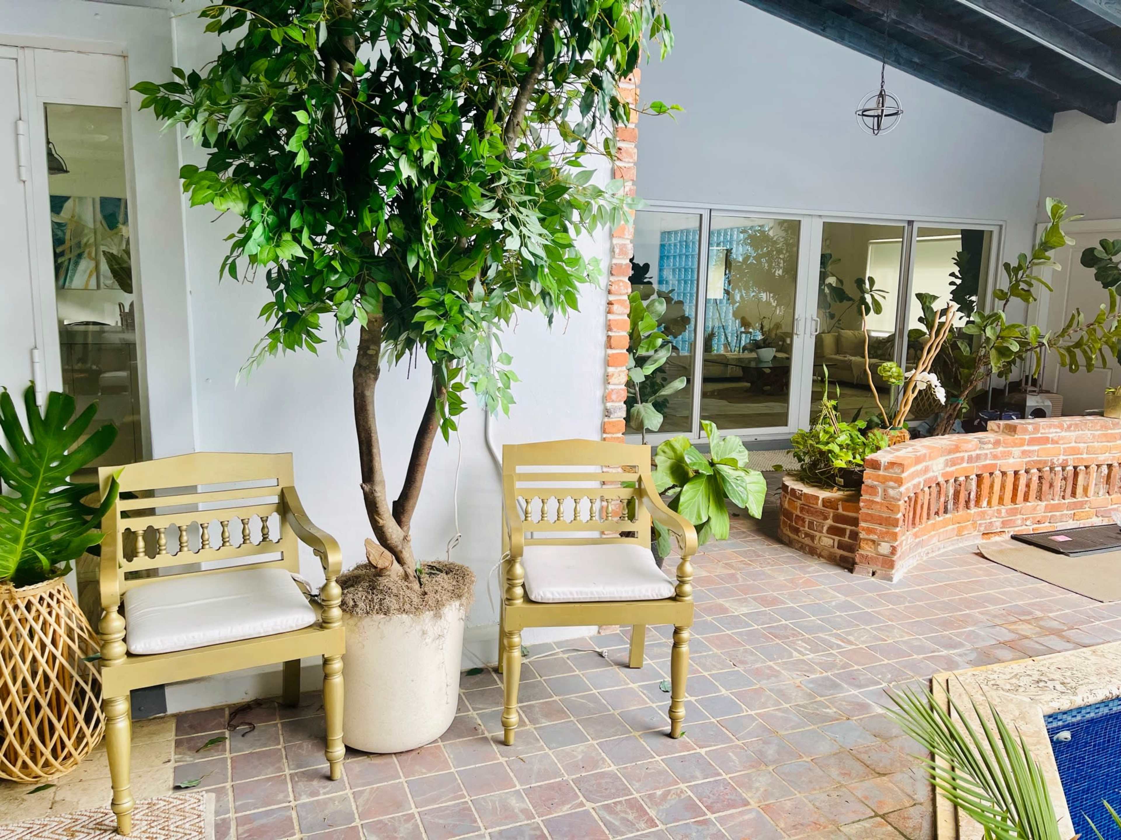 Two gold-colored chairs are positioned beside a potted tree in a room with large windows and a brick accent wall.