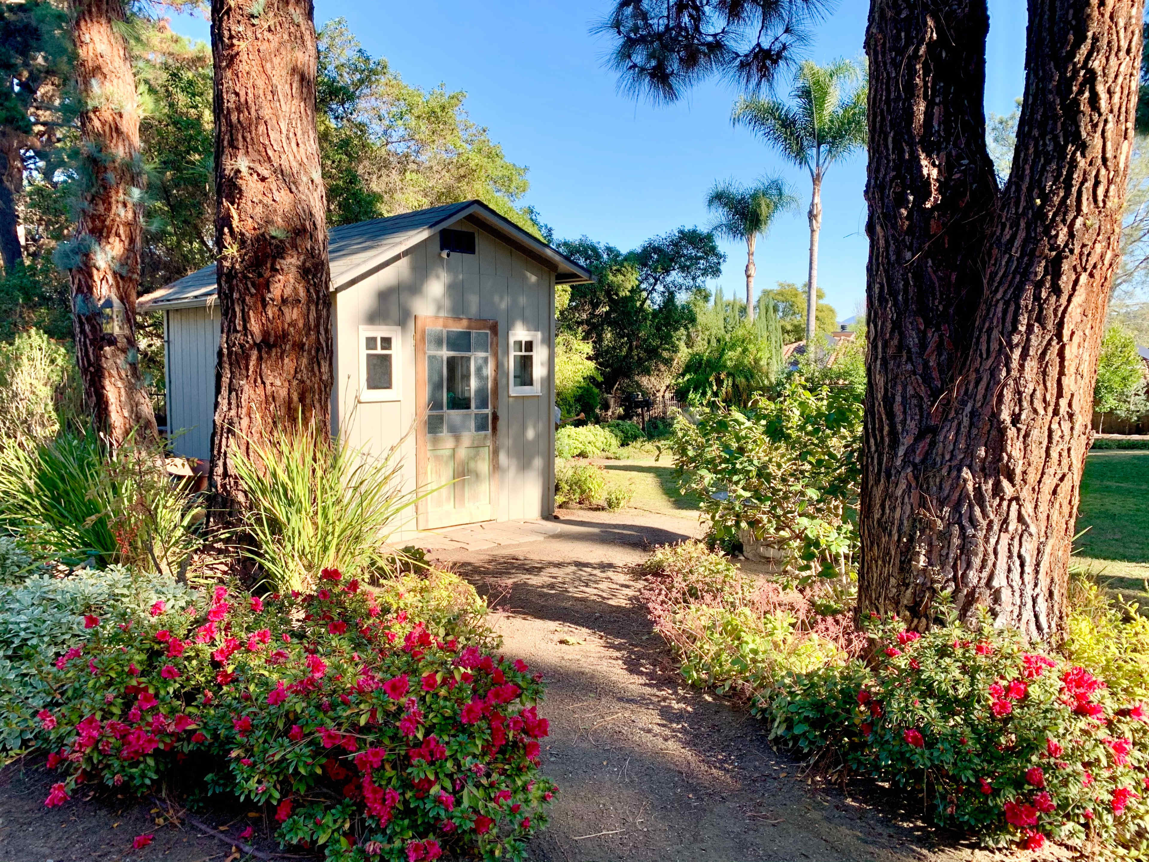 A small gray shed is nestled between two tall trees, surrounded by vibrant flower beds and a manicured garden.