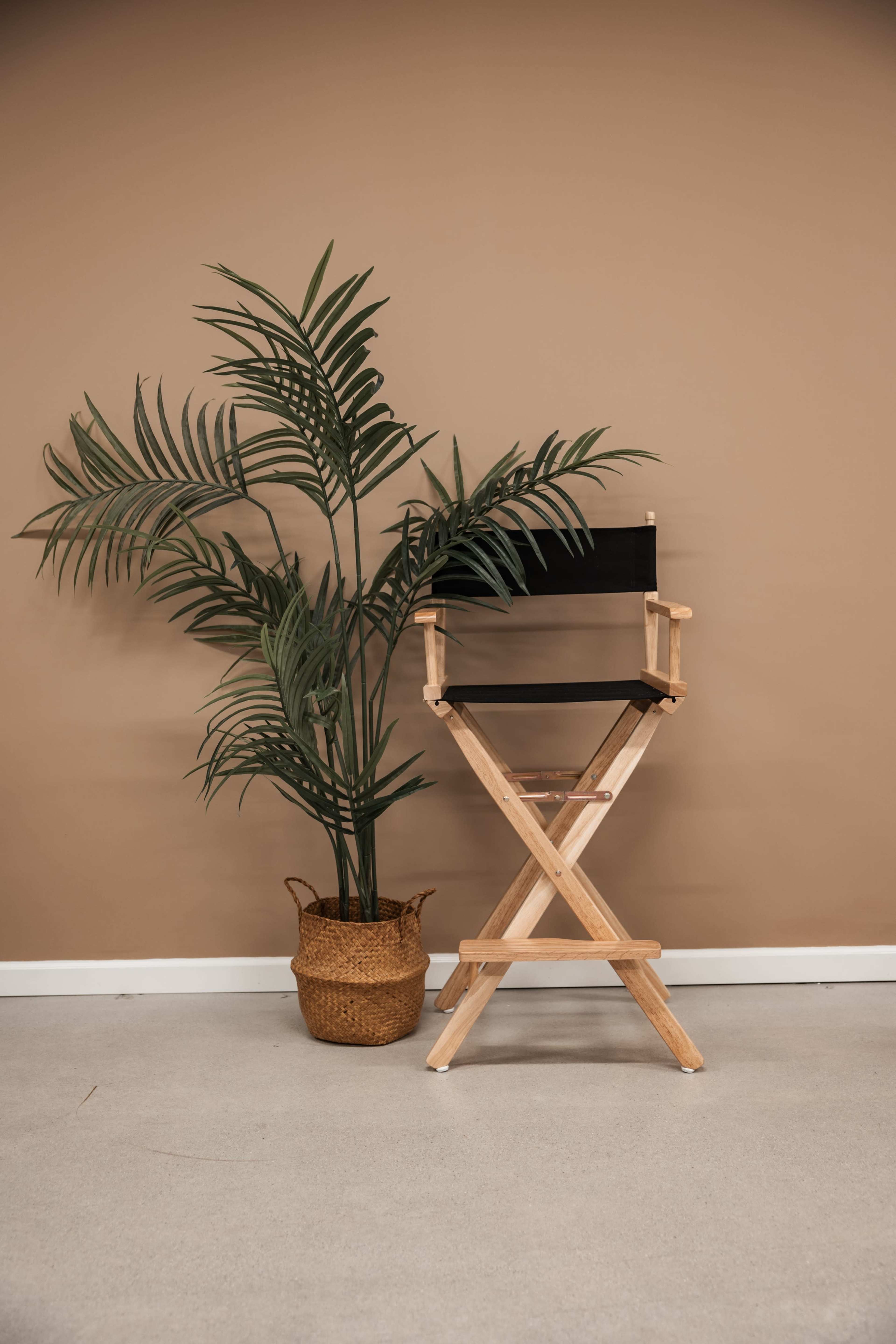 A wooden director's chair is positioned next to a tall potted palm plant against a tan wall.