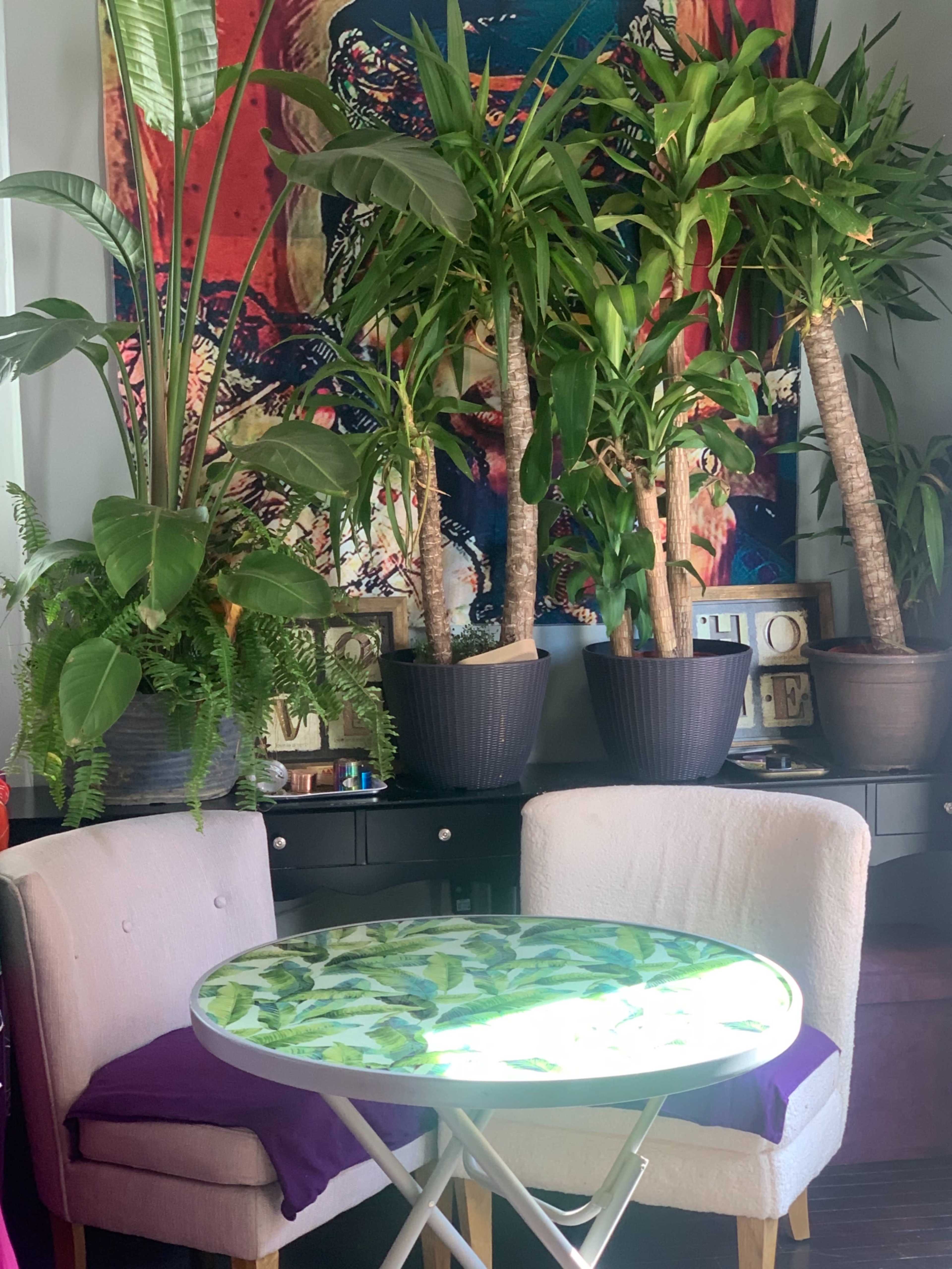 The image shows a small table with a leafy design surrounded by two chairs in a space filled with large potted plants and a colorful tapestry in the background.