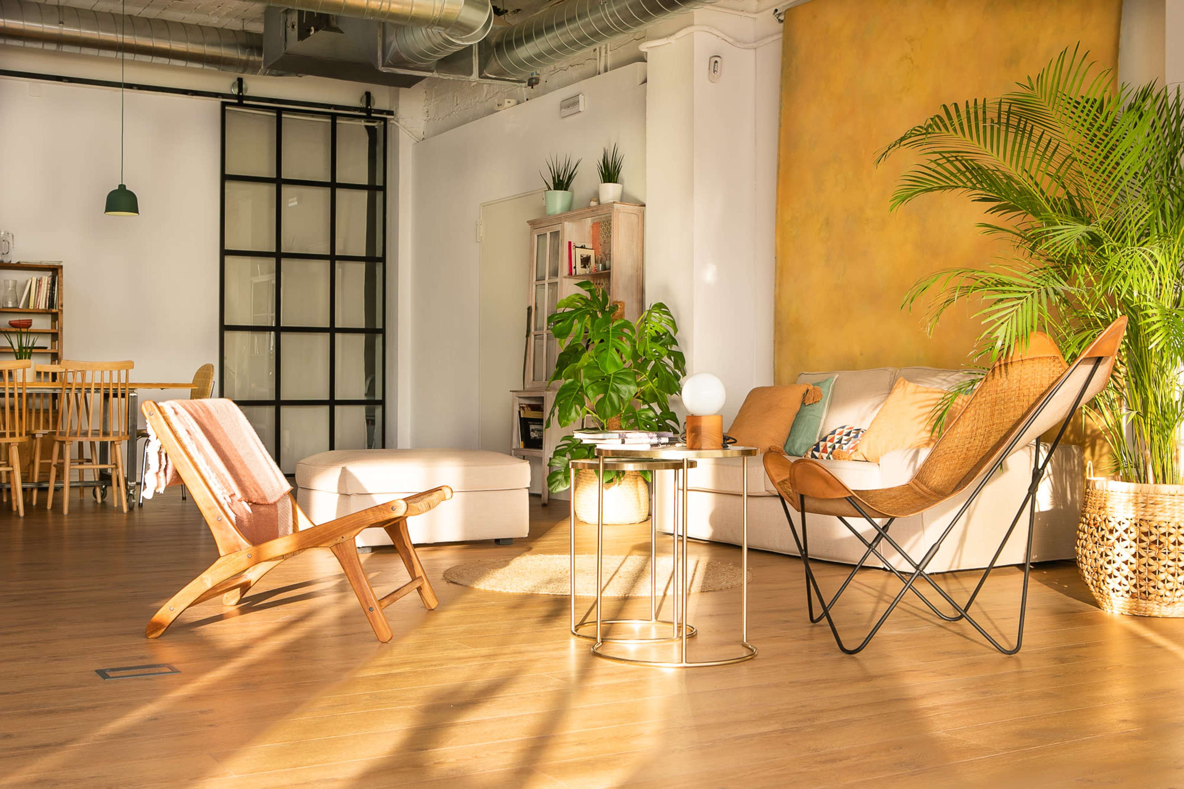 A bright, modern living space with a cozy seating area, including a light-colored sofa, a wooden chair, a round coffee table, and various indoor plants.