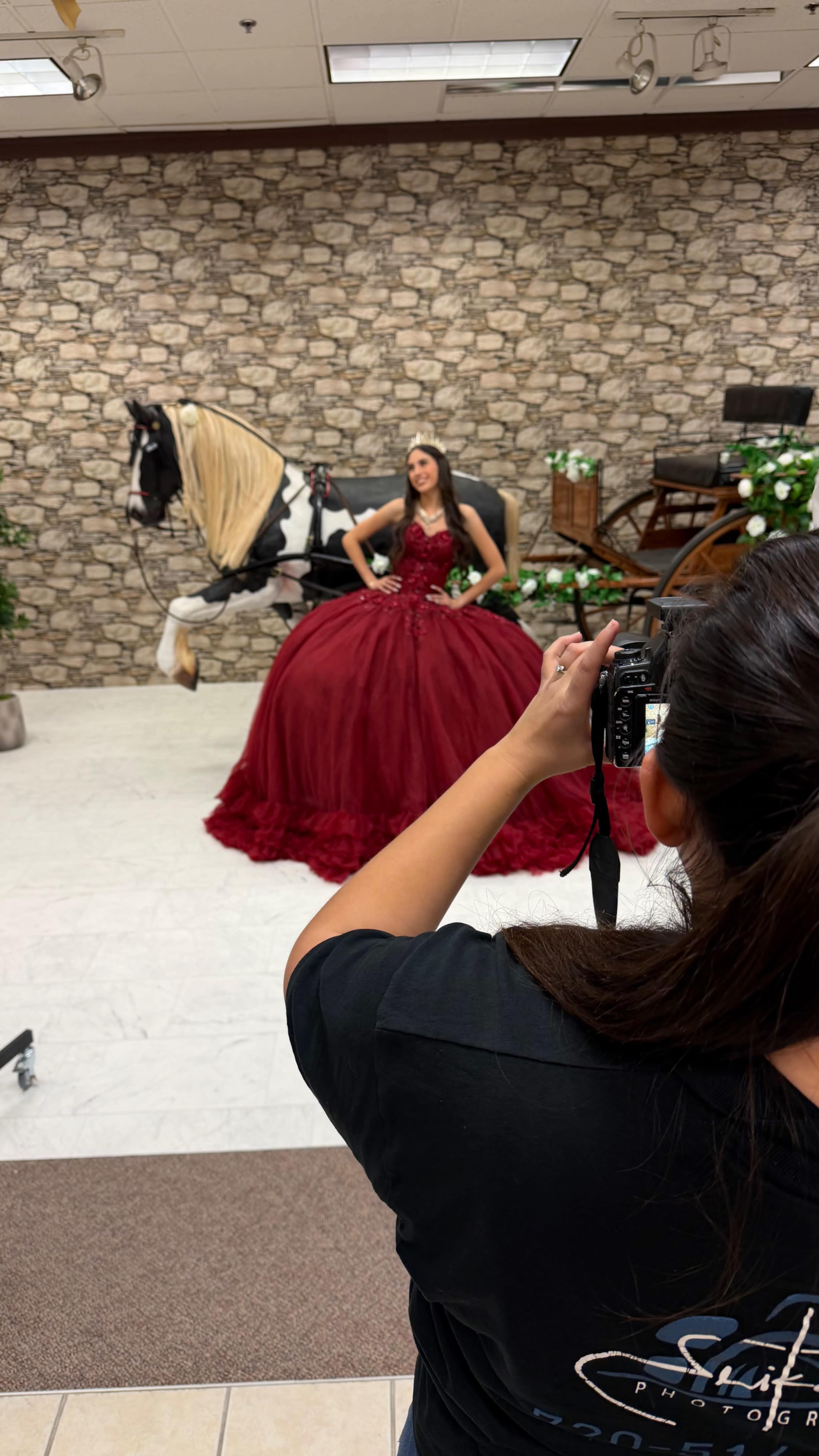 The Horse-Drawn Carriage Image in Applewood, Lakewood, CO