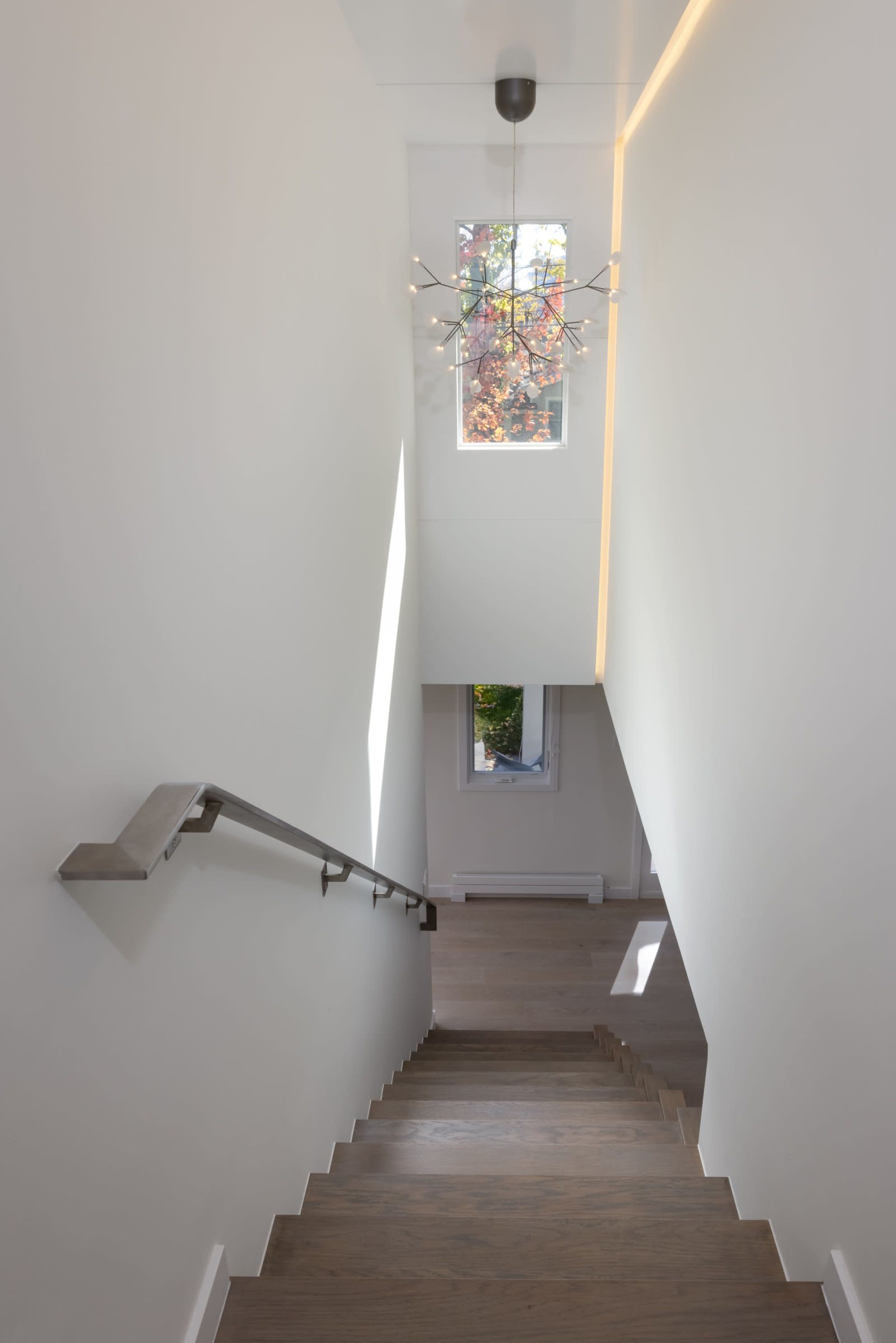 Minimalist Contemporary Cottage in North Boulder Image in Newlands, Boulder, CO